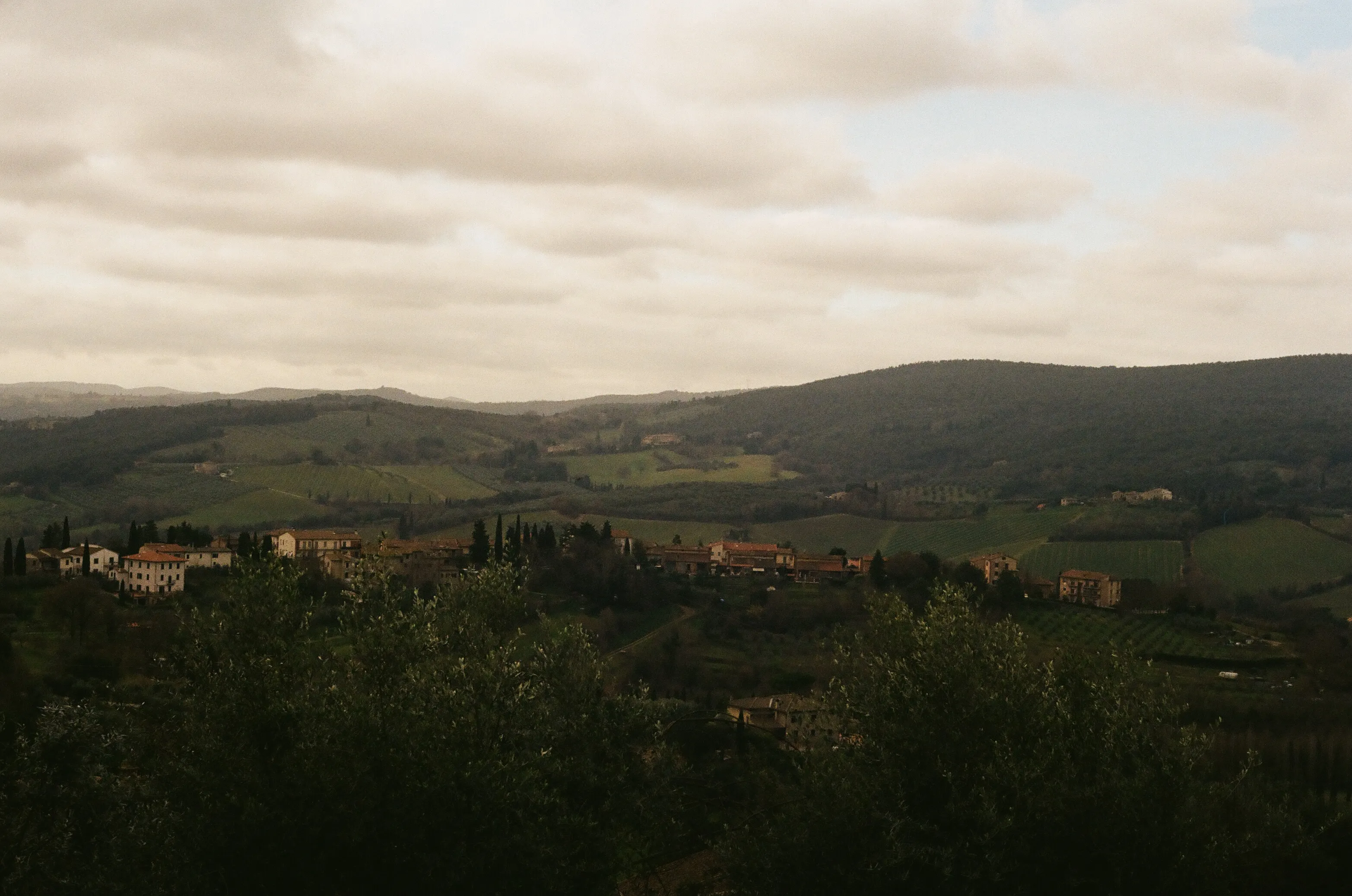 Film photograph 3 from Roll 1