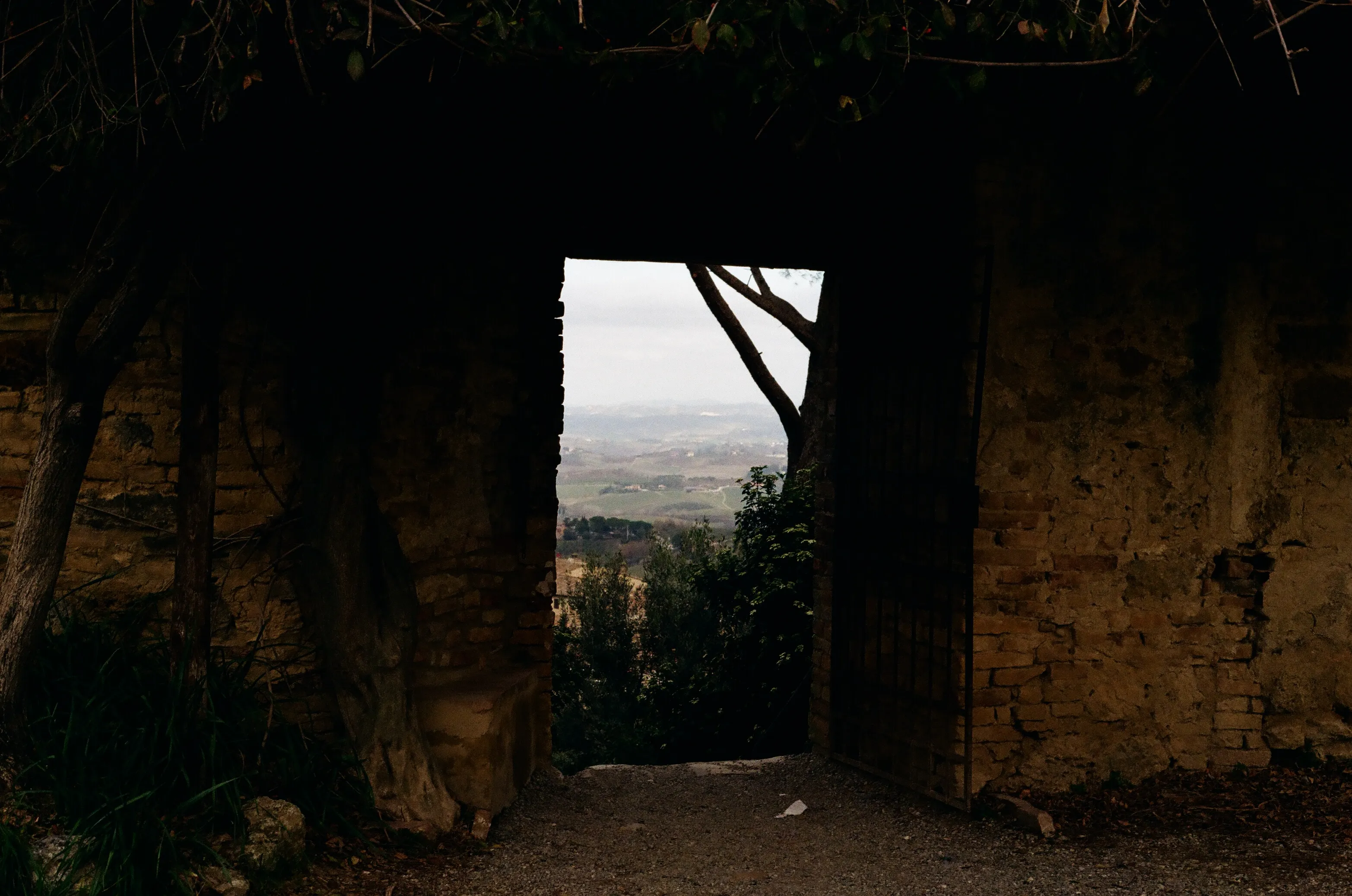 Film photograph 4 from Roll 1