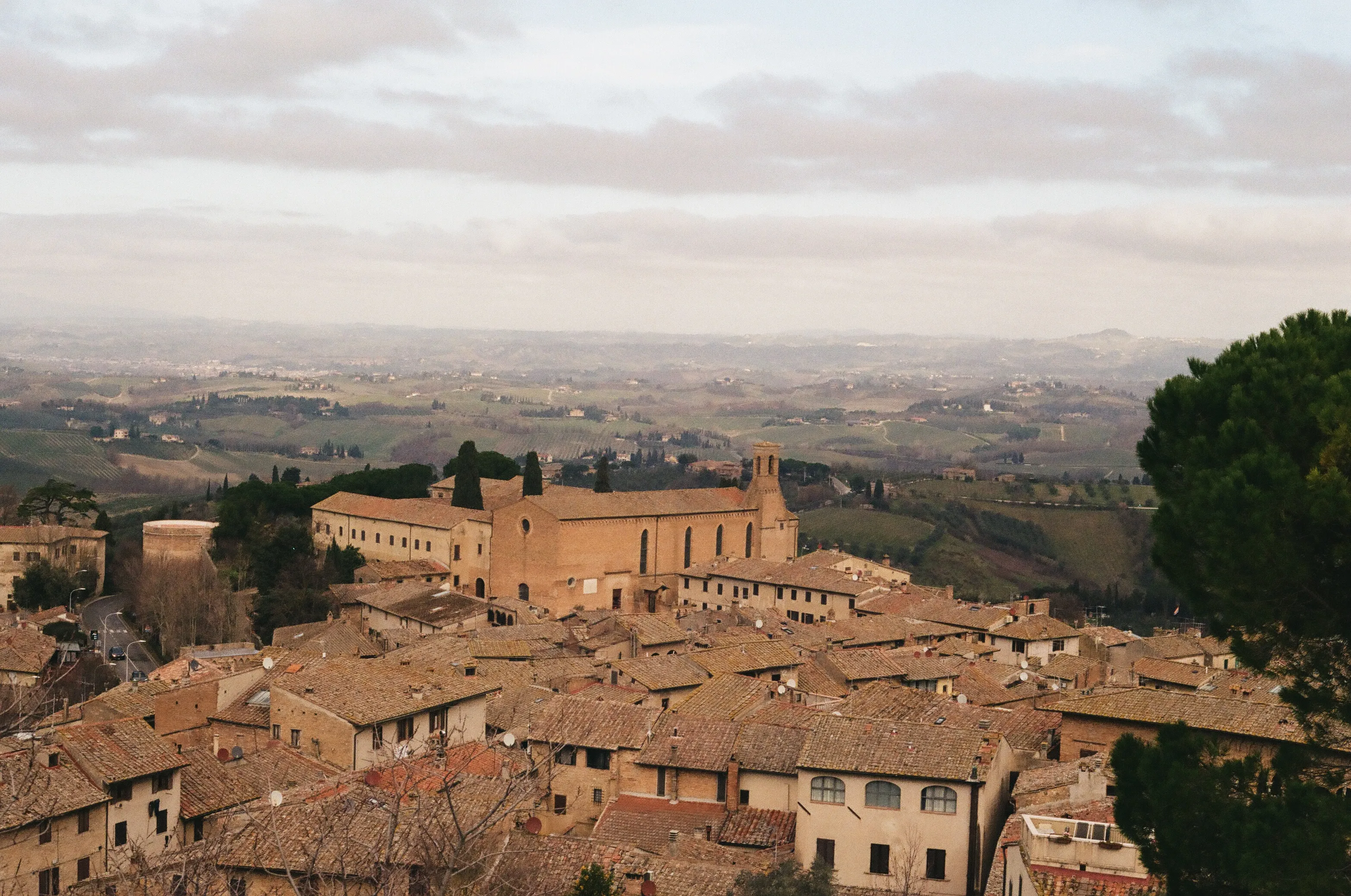 Film photograph 5 from Roll 1