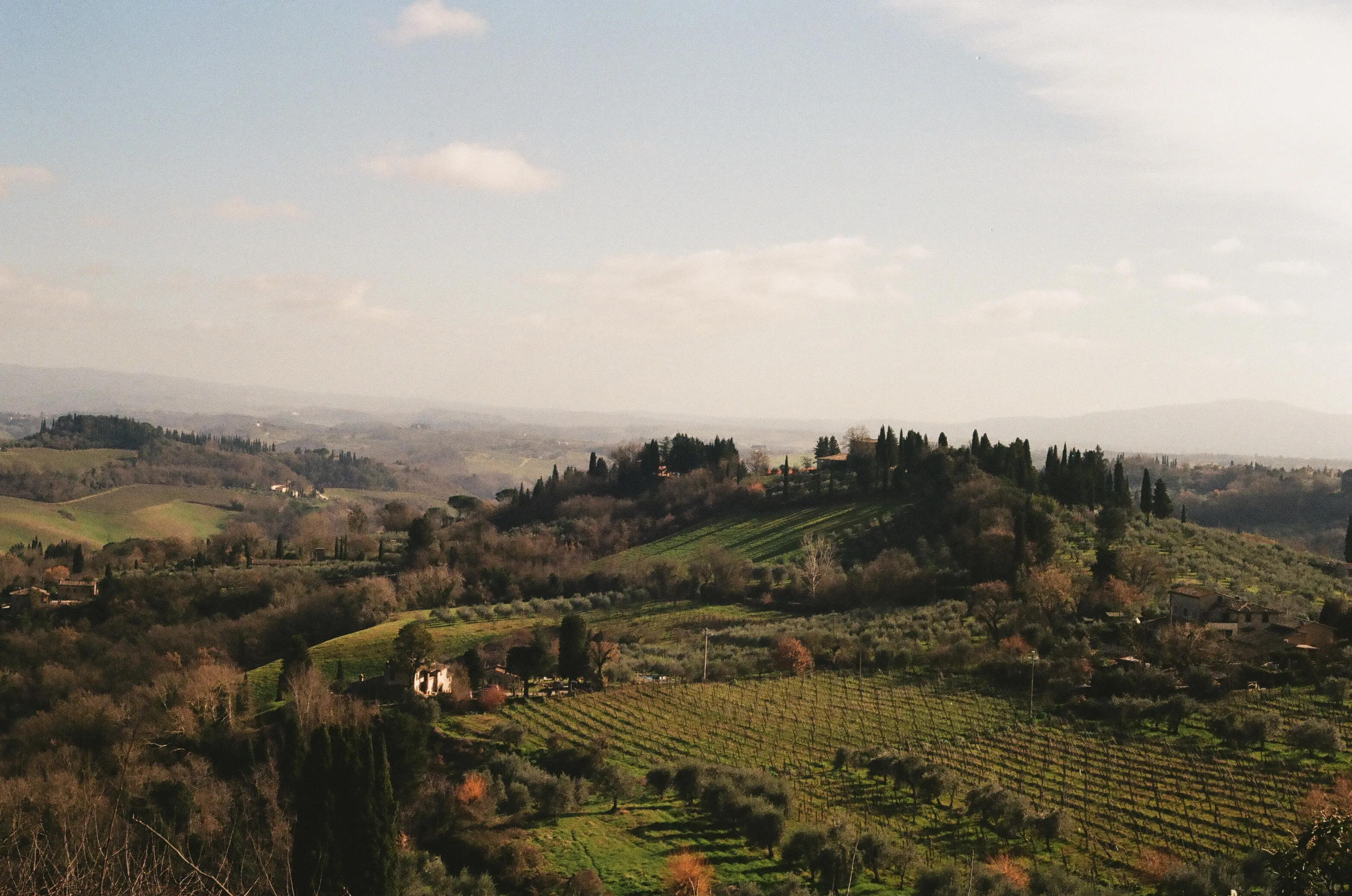 Film photograph 6 from Roll 1