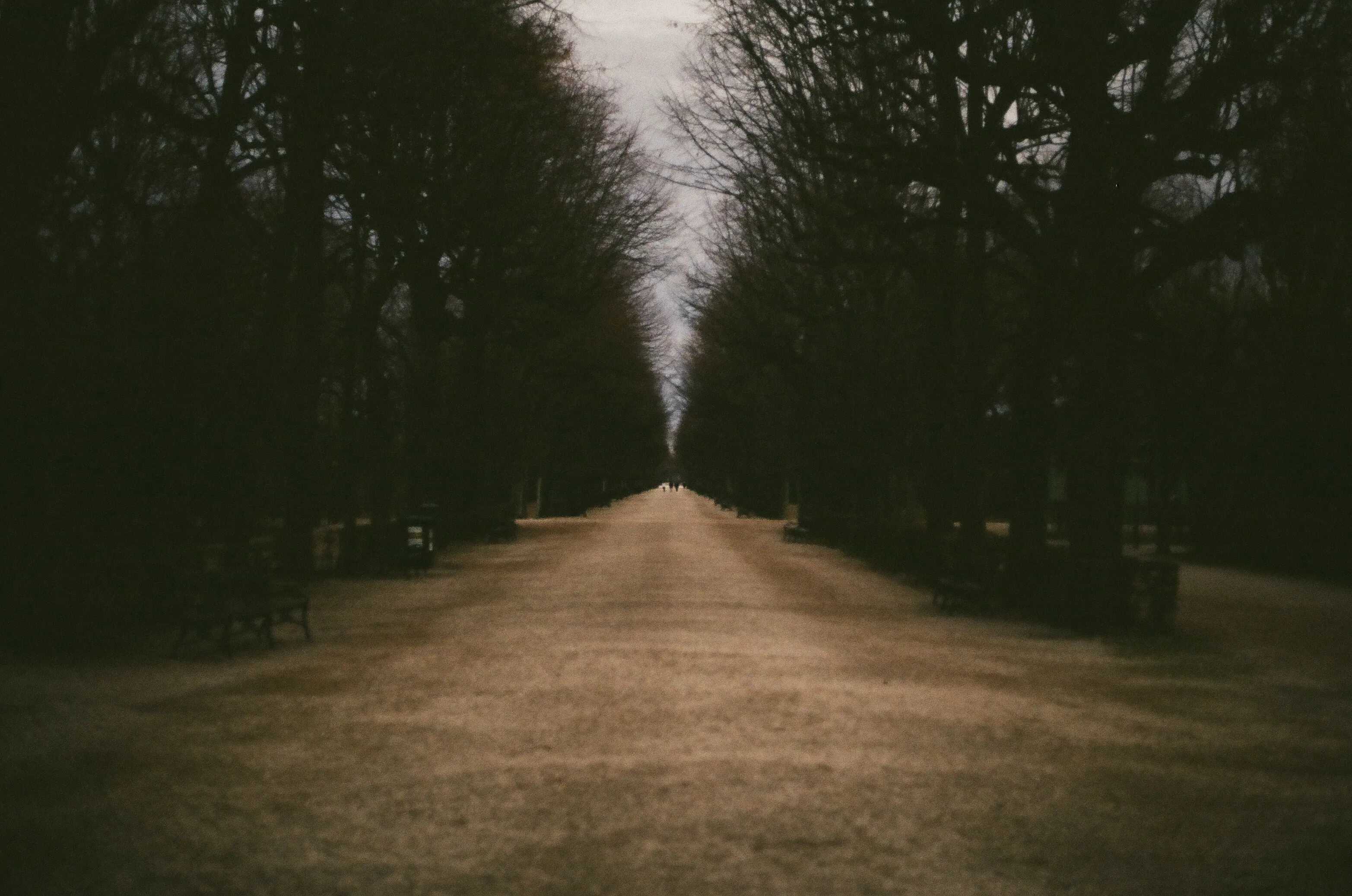 Film photograph 9 from Roll 1