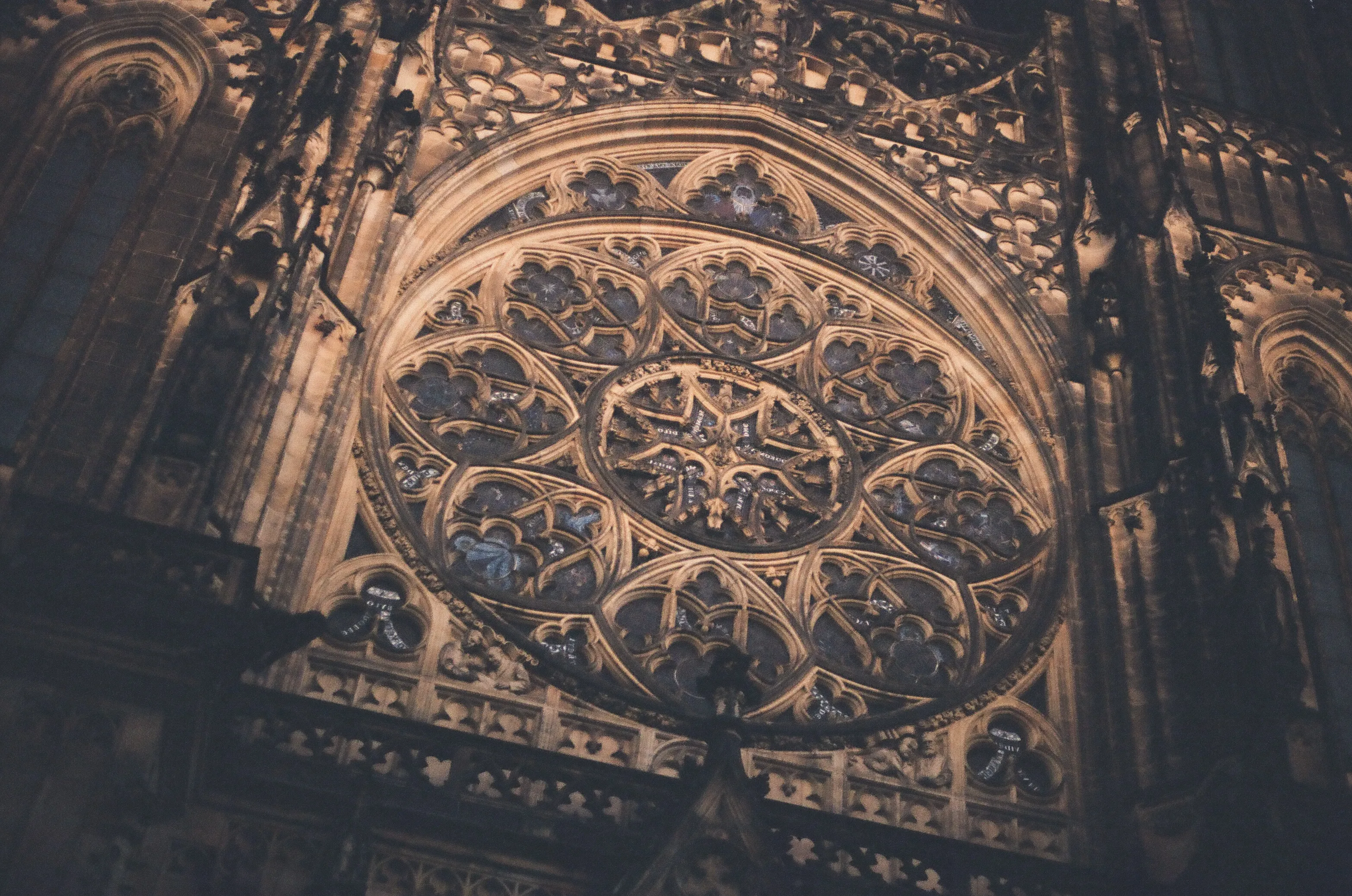 Film photograph 21 from Roll 1