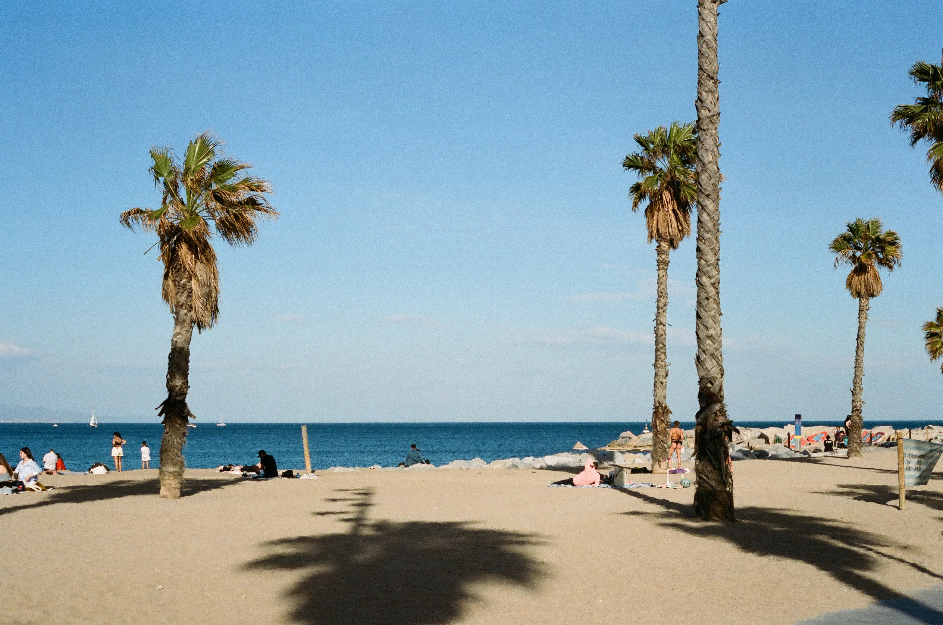 Film photograph 5 from Roll 2