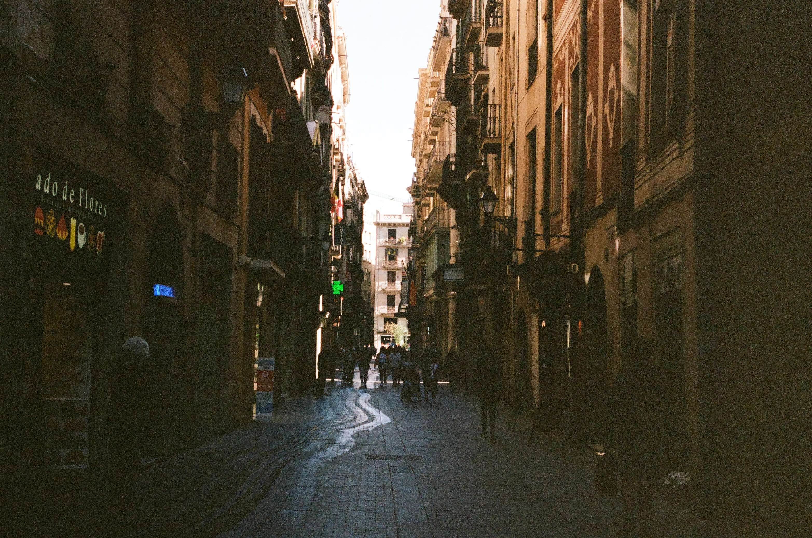 Film photograph 7 from Roll 2