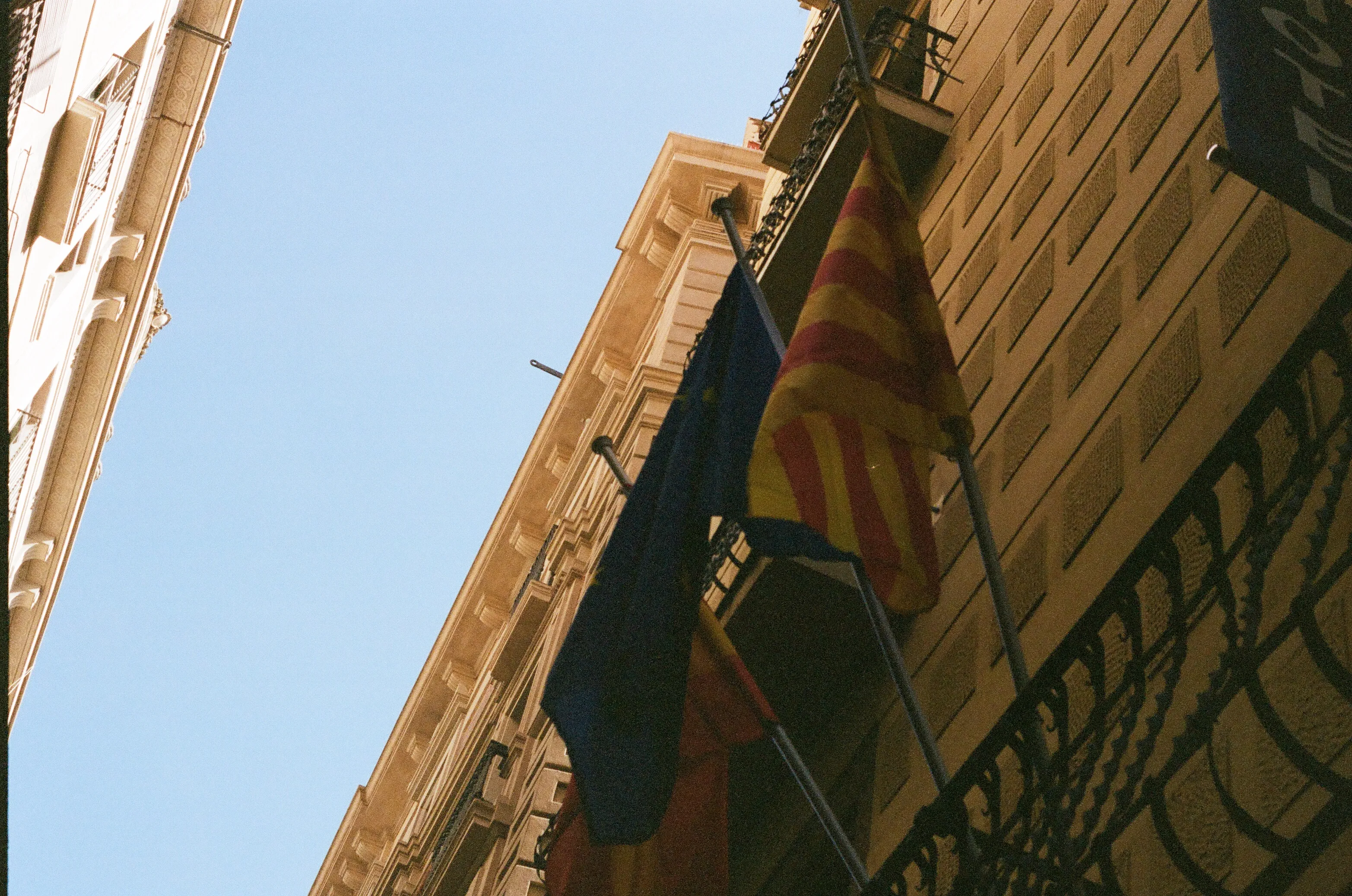 Film photograph 8 from Roll 2