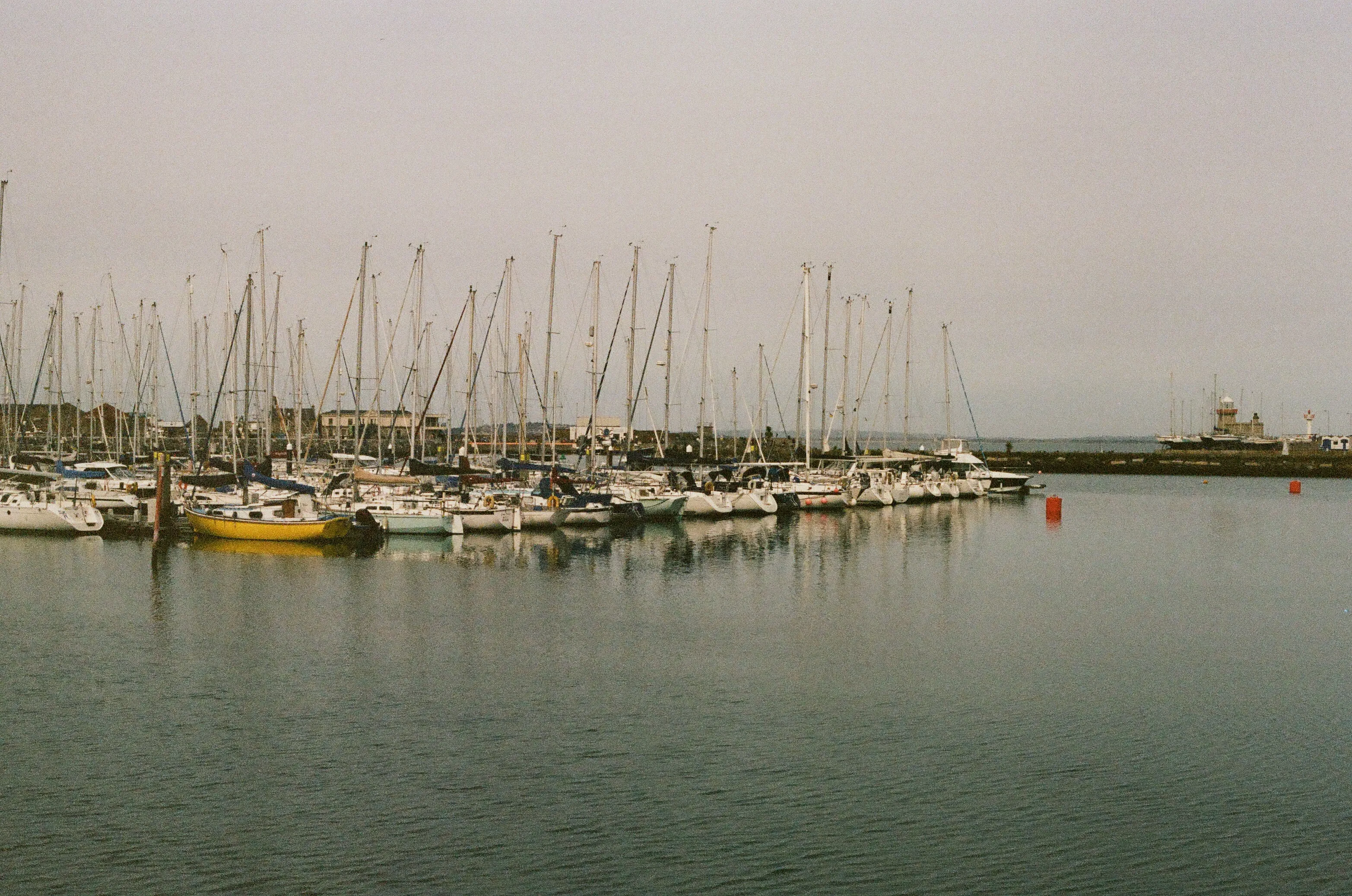 Film photograph 15 from Roll 2