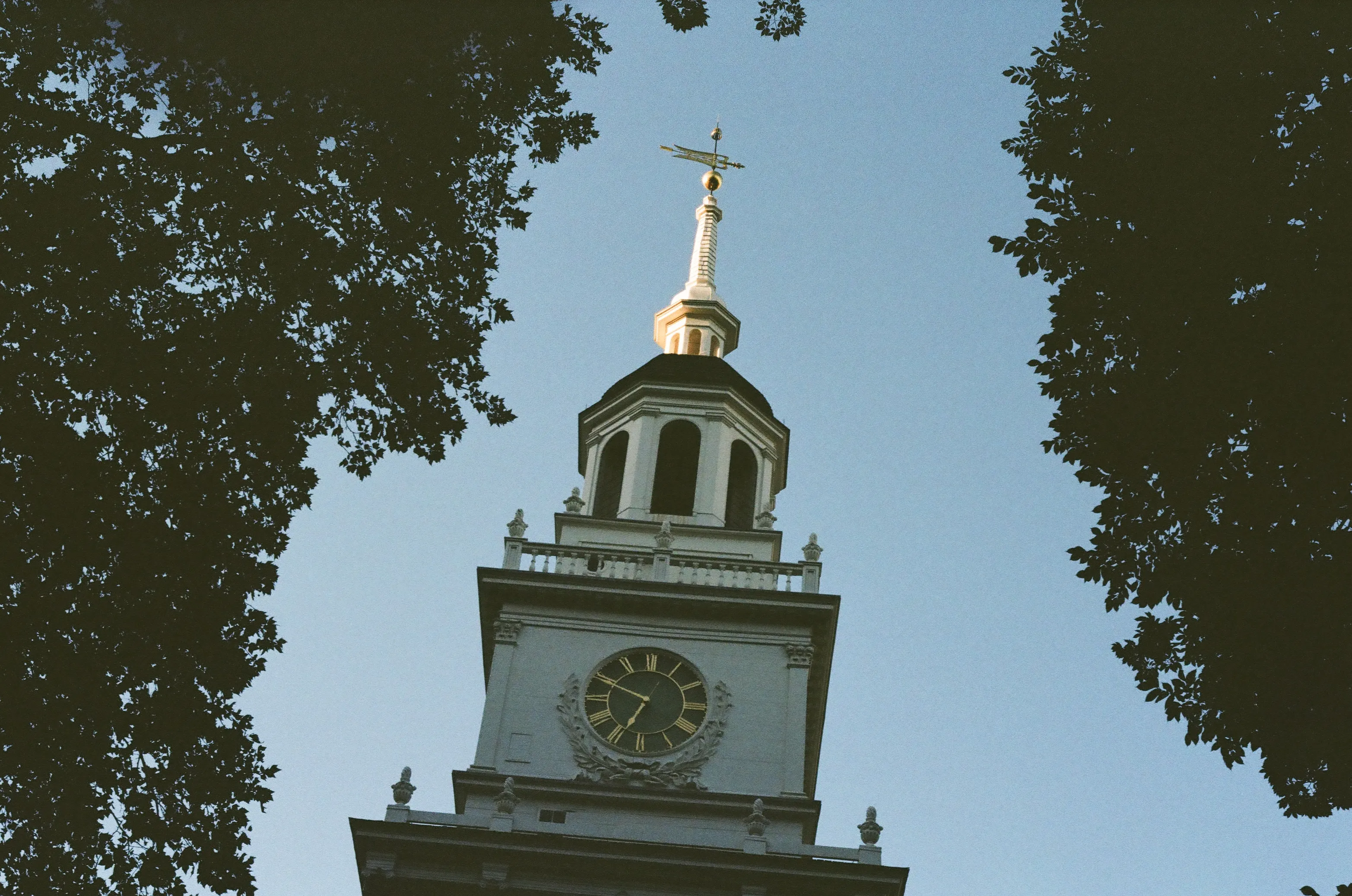 Film photograph 7 from Roll 3