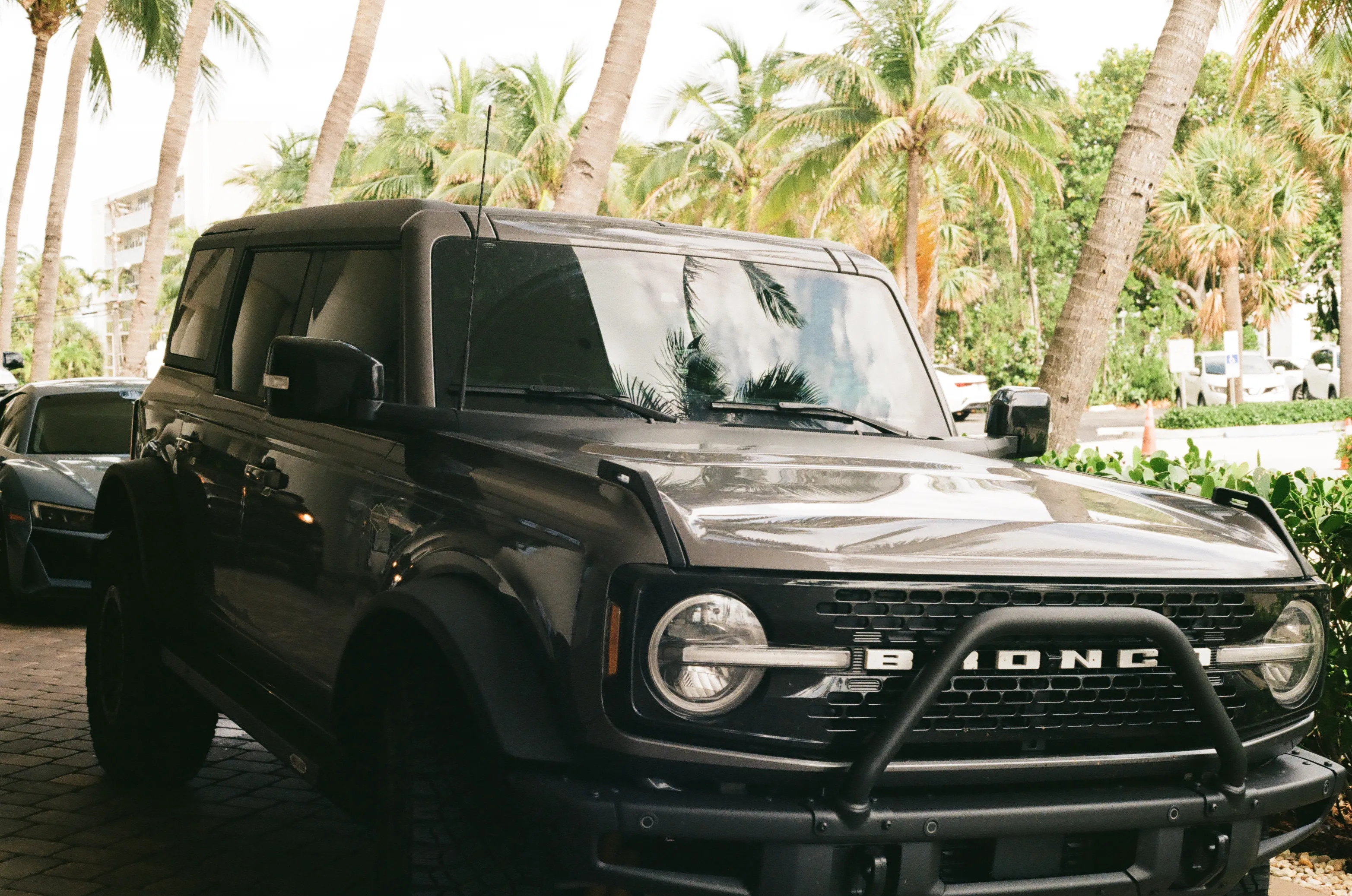 Film photograph 2 from Roll 4