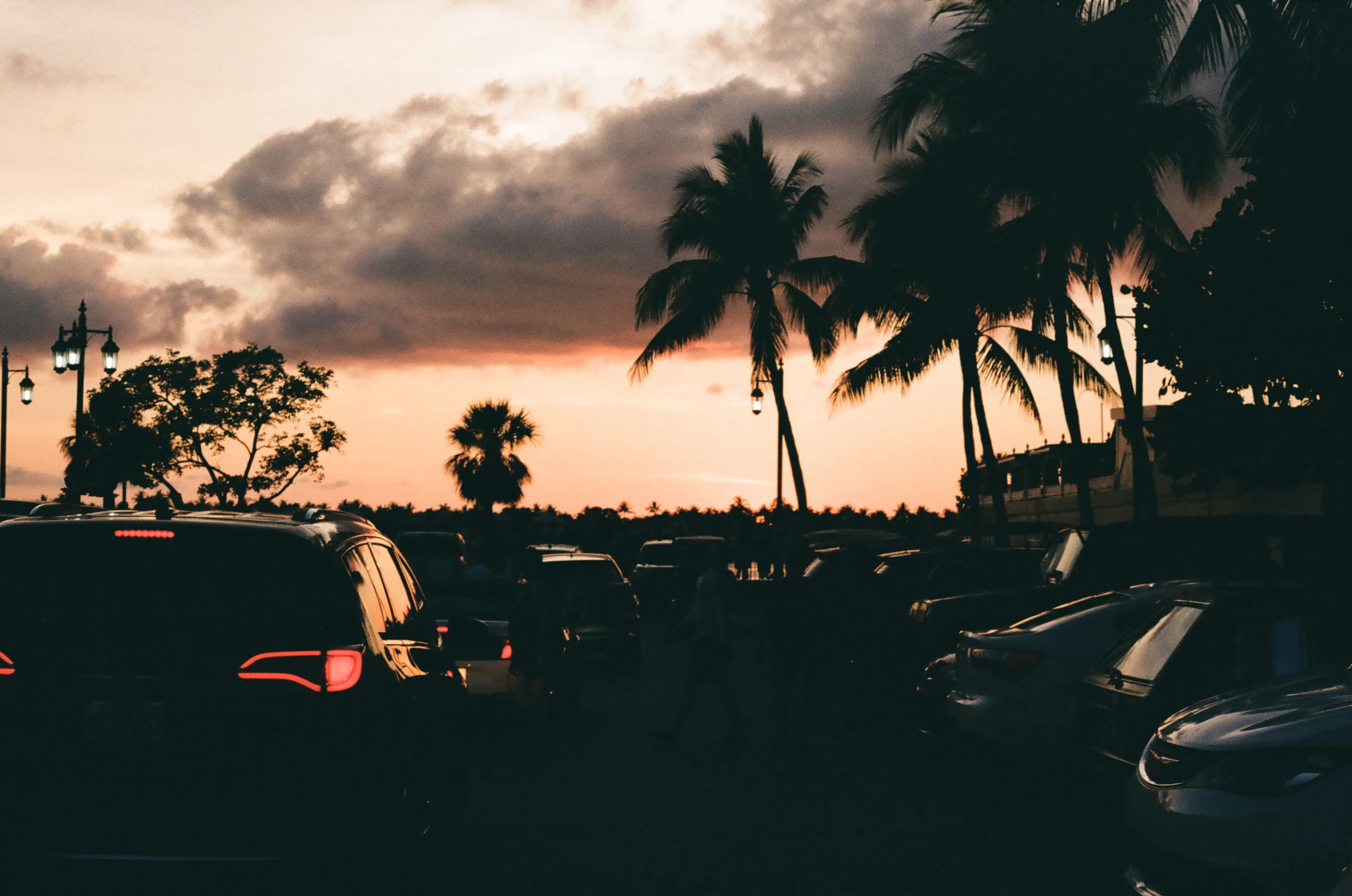 Film photograph 6 from Roll 4