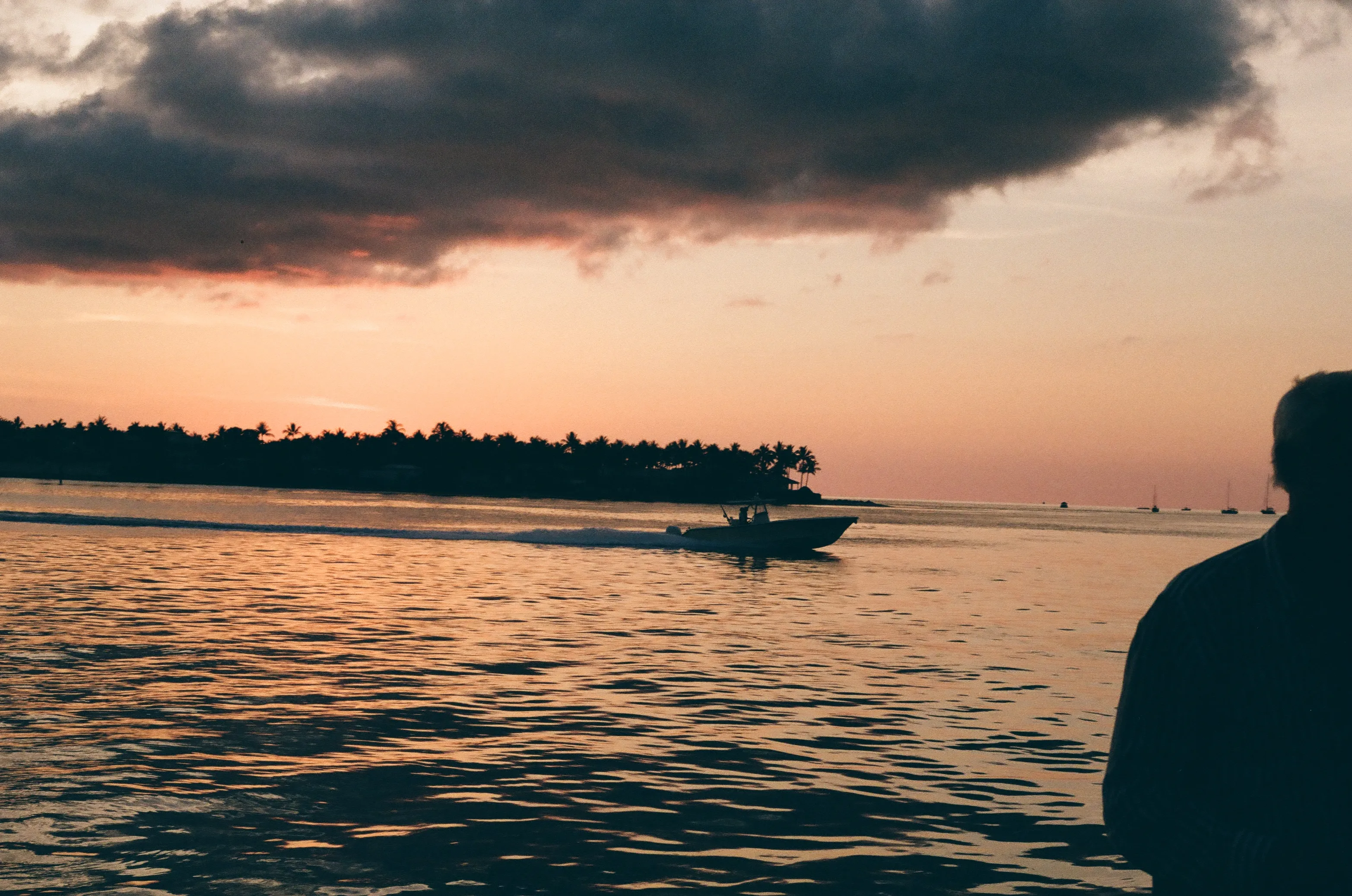 Film photograph 7 from Roll 4