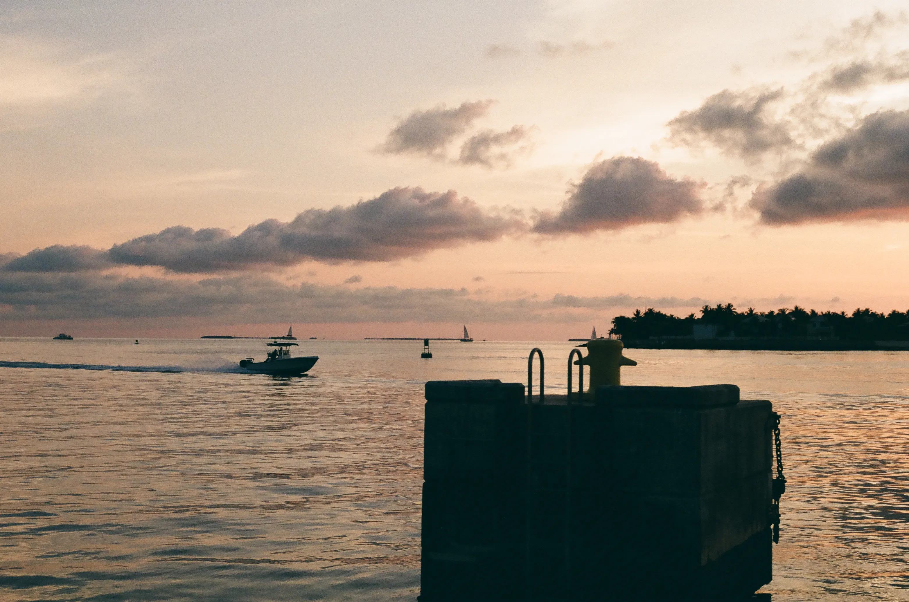 Film photograph 8 from Roll 4