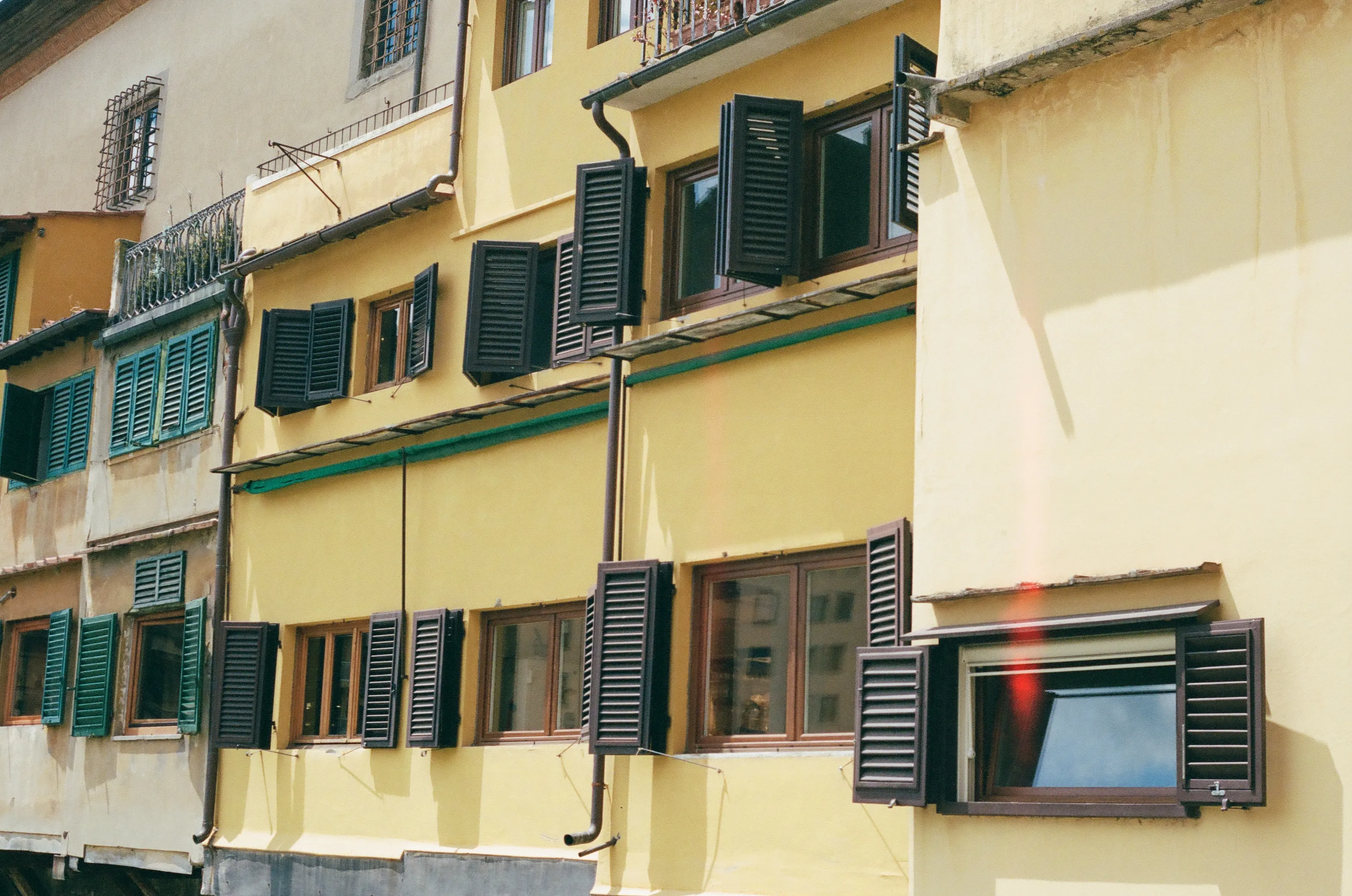 Film photograph 2 from Roll 5