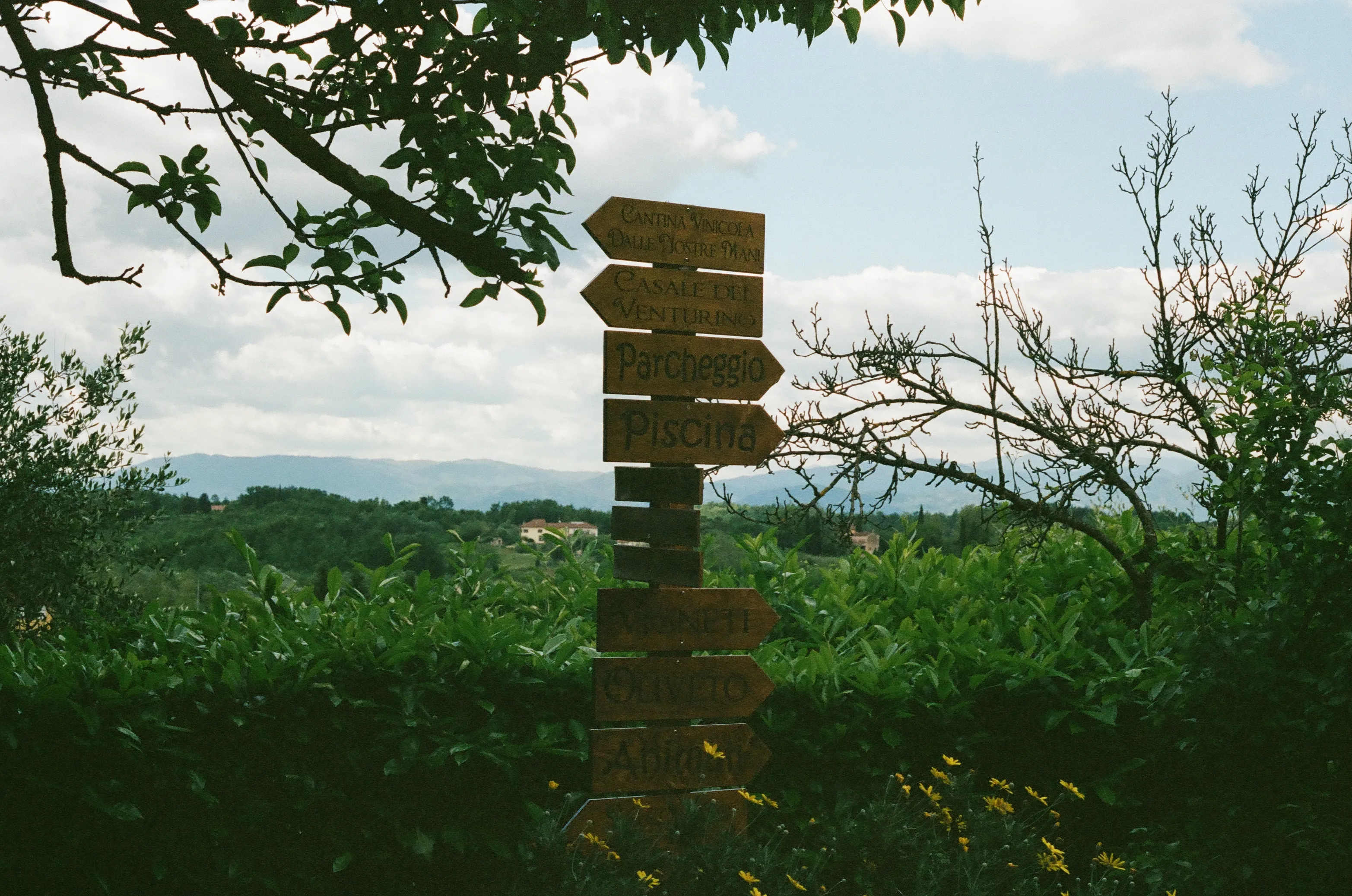 Film photograph 6 from Roll 5