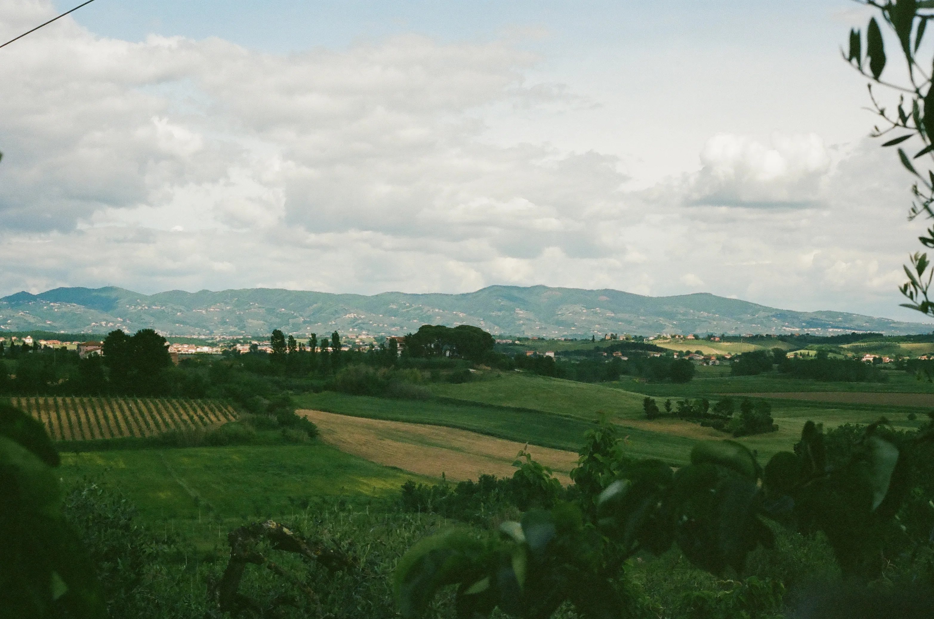 Film photograph 7 from Roll 5