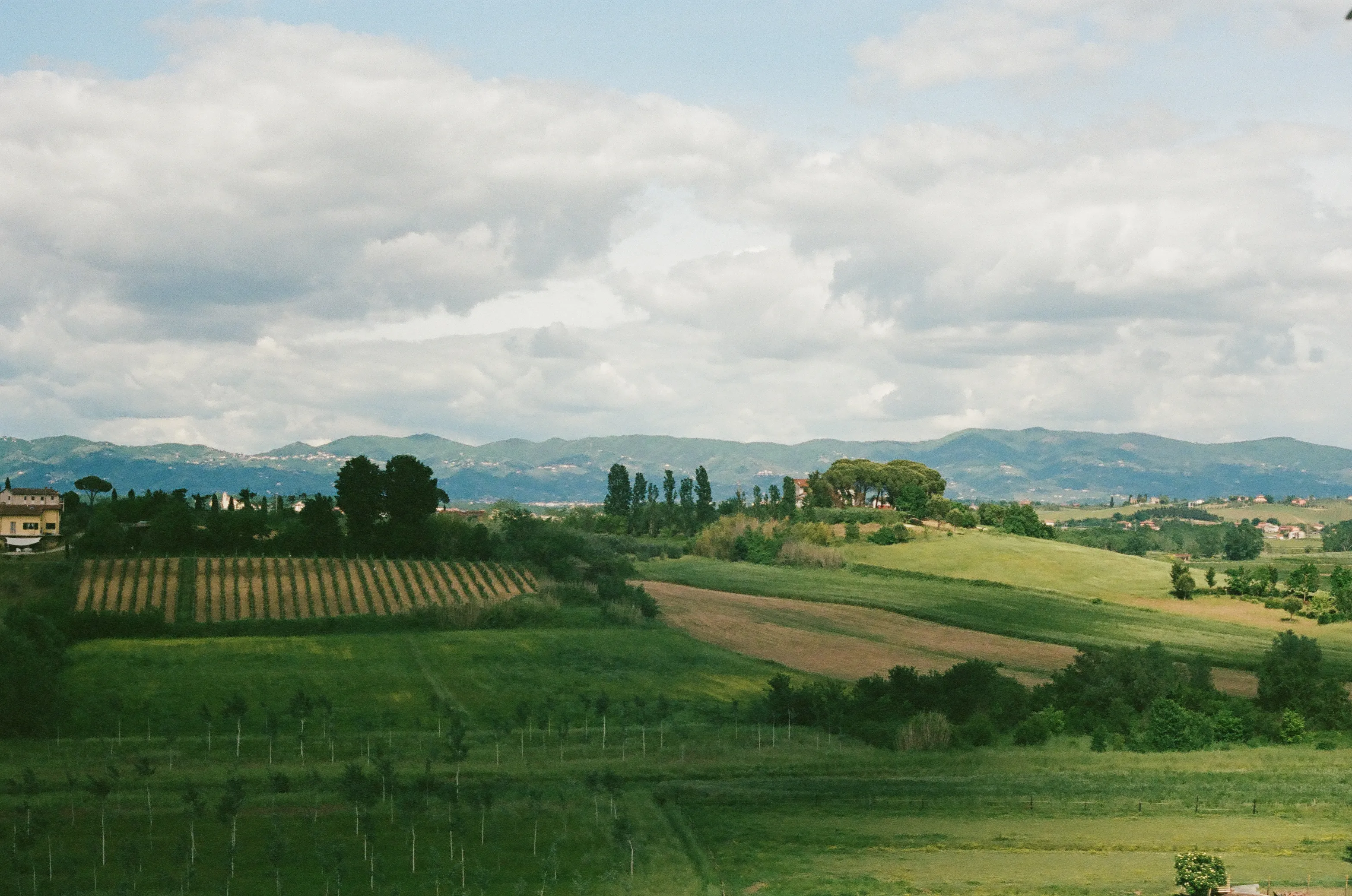 Film photograph 8 from Roll 5