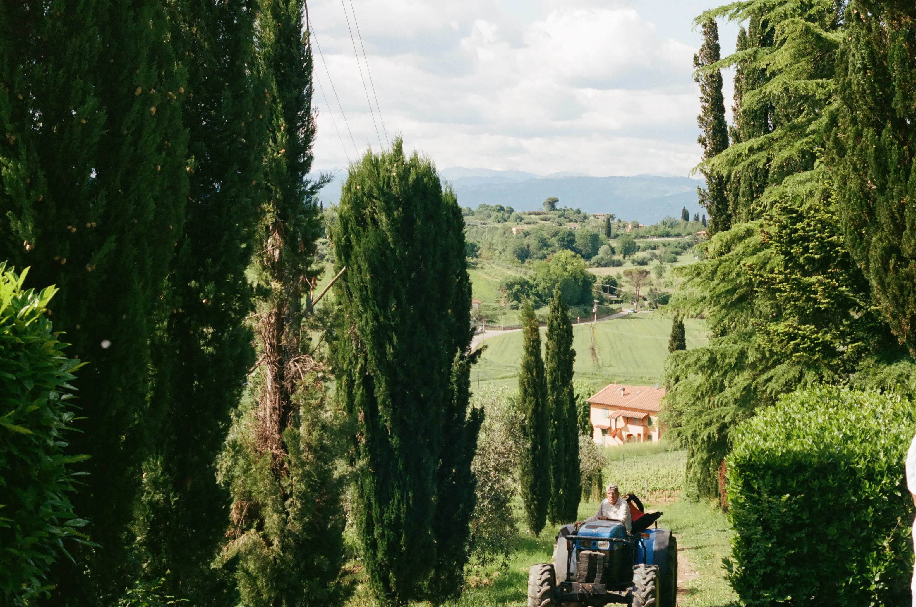 Film photograph 9 from Roll 5