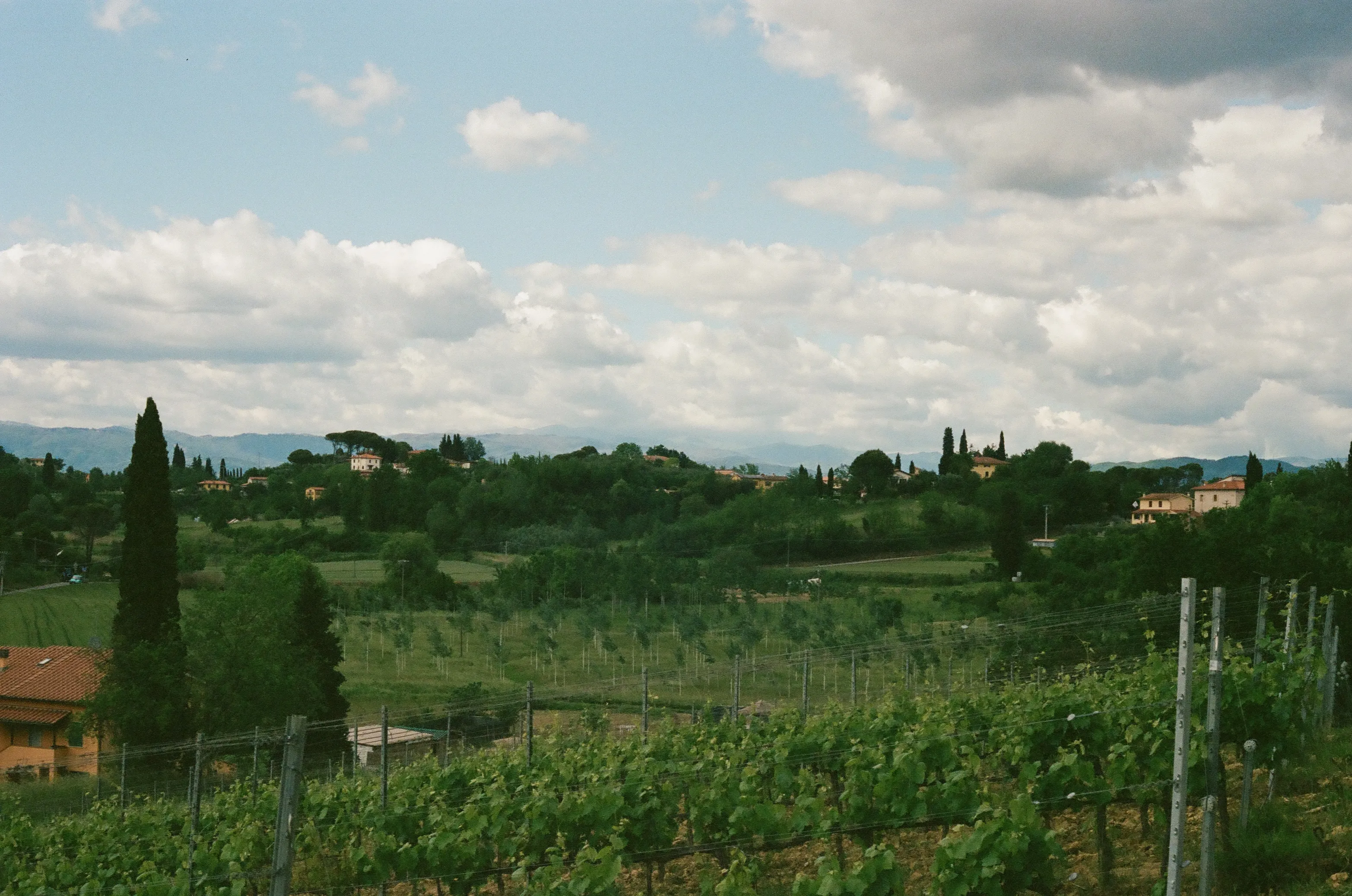 Film photograph 10 from Roll 5