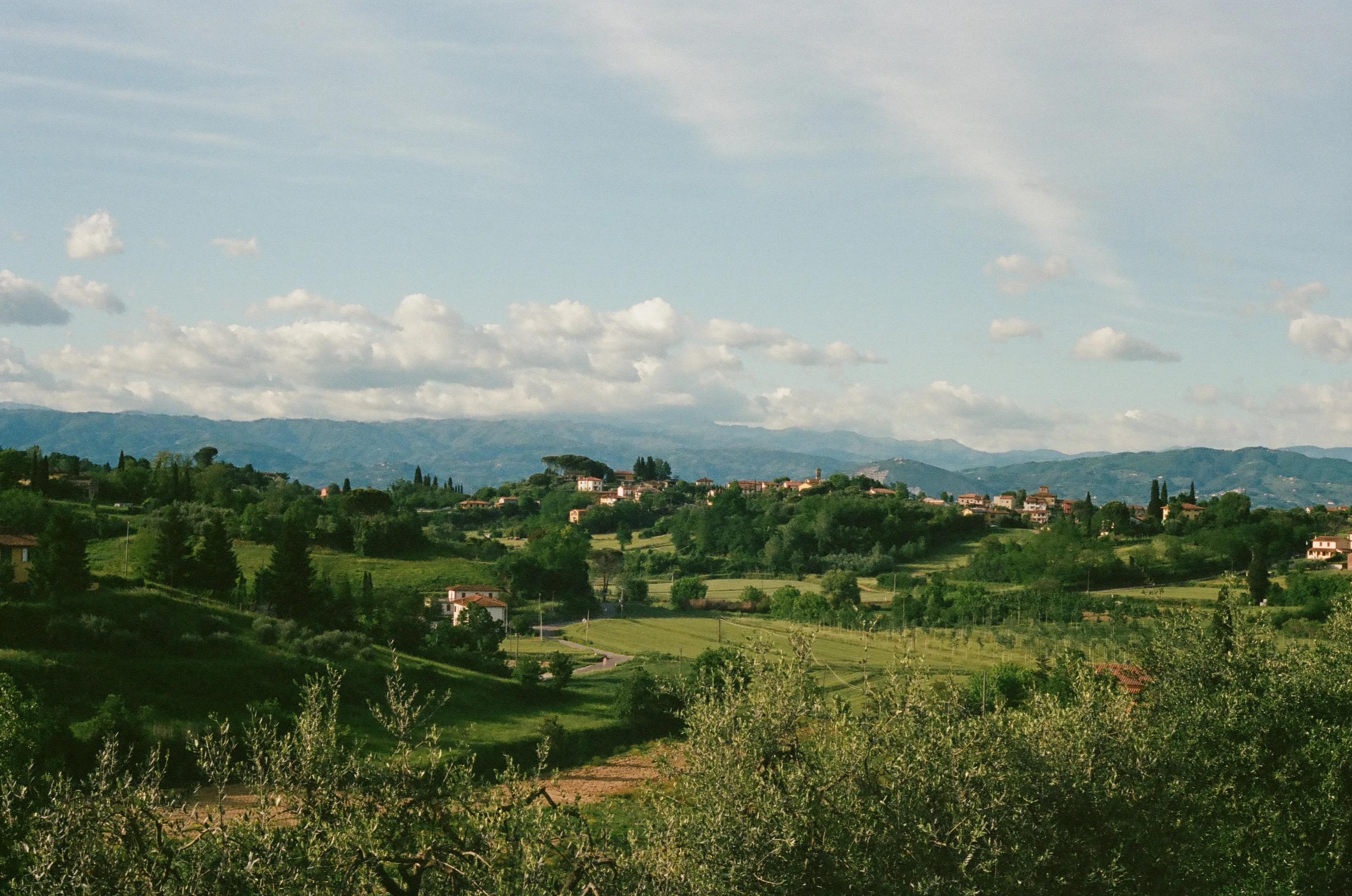 Film photograph 11 from Roll 5