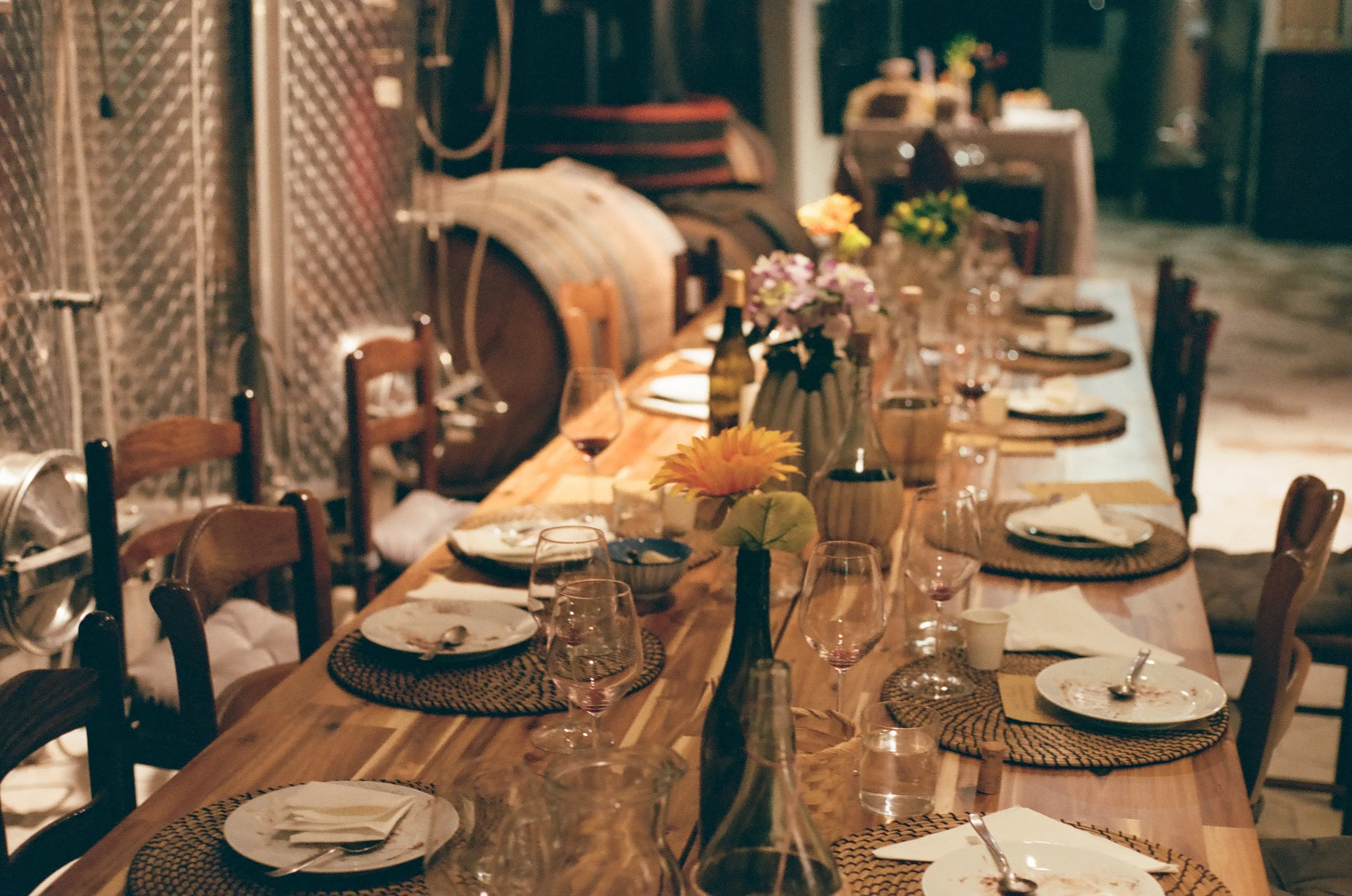 Film photograph 13 from Roll 5