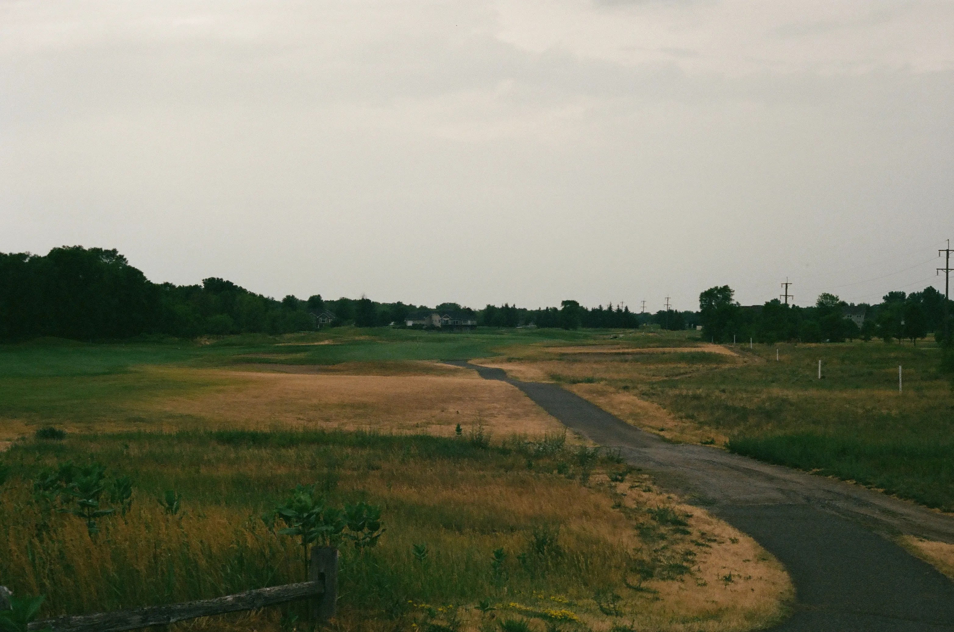 Film photograph 30 from Roll 5