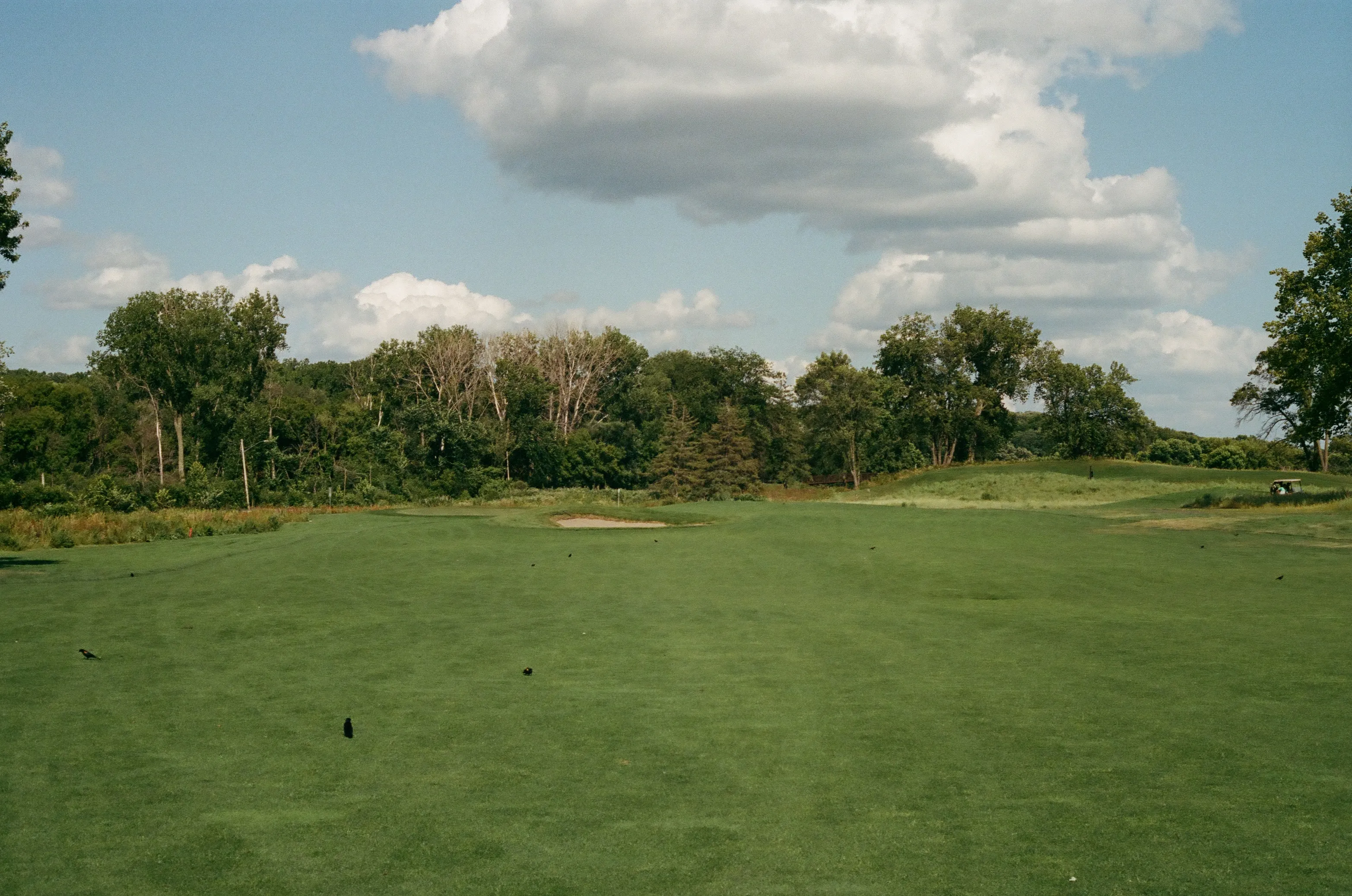 Film photograph 34 from Roll 5