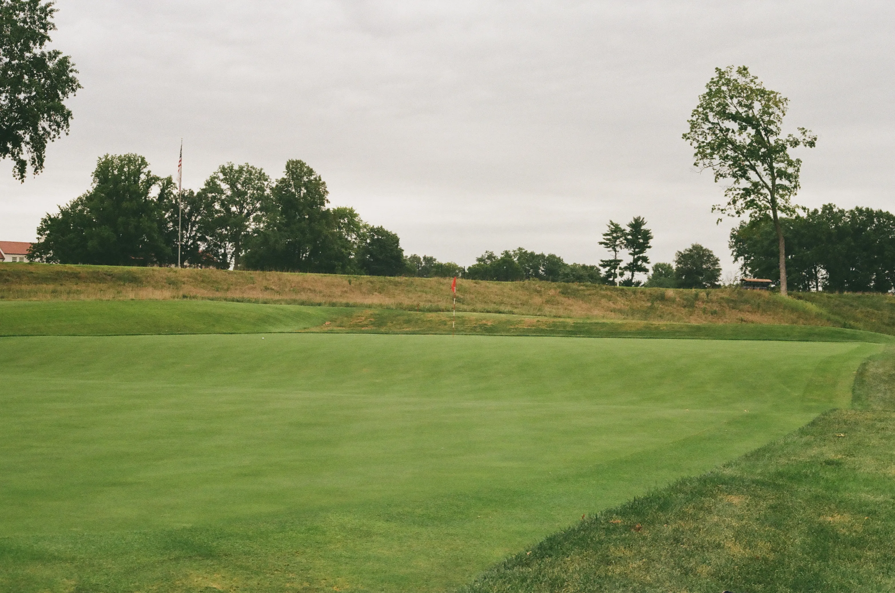 Film photograph 1 from Roll 6