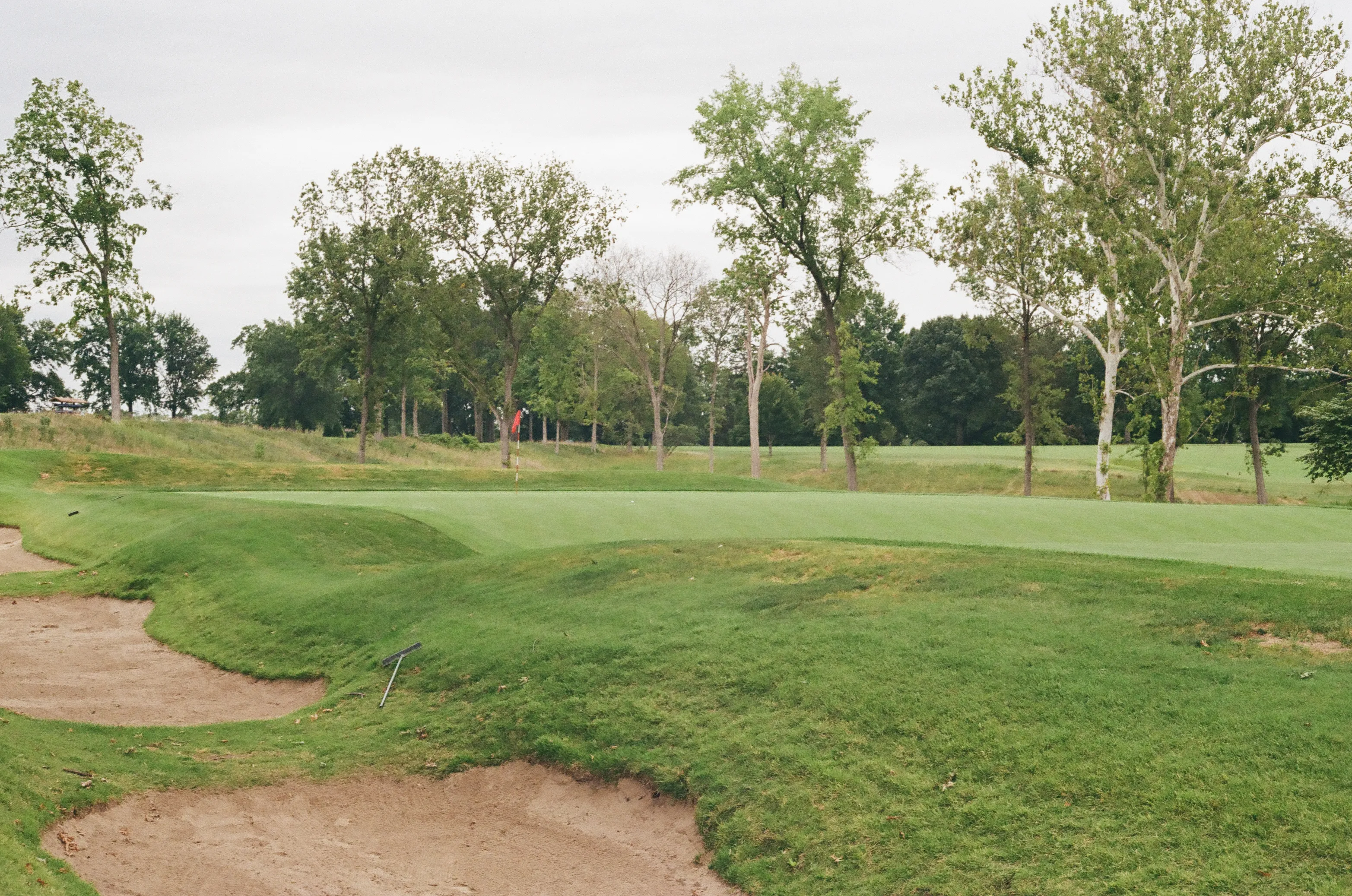 Film photograph 2 from Roll 6