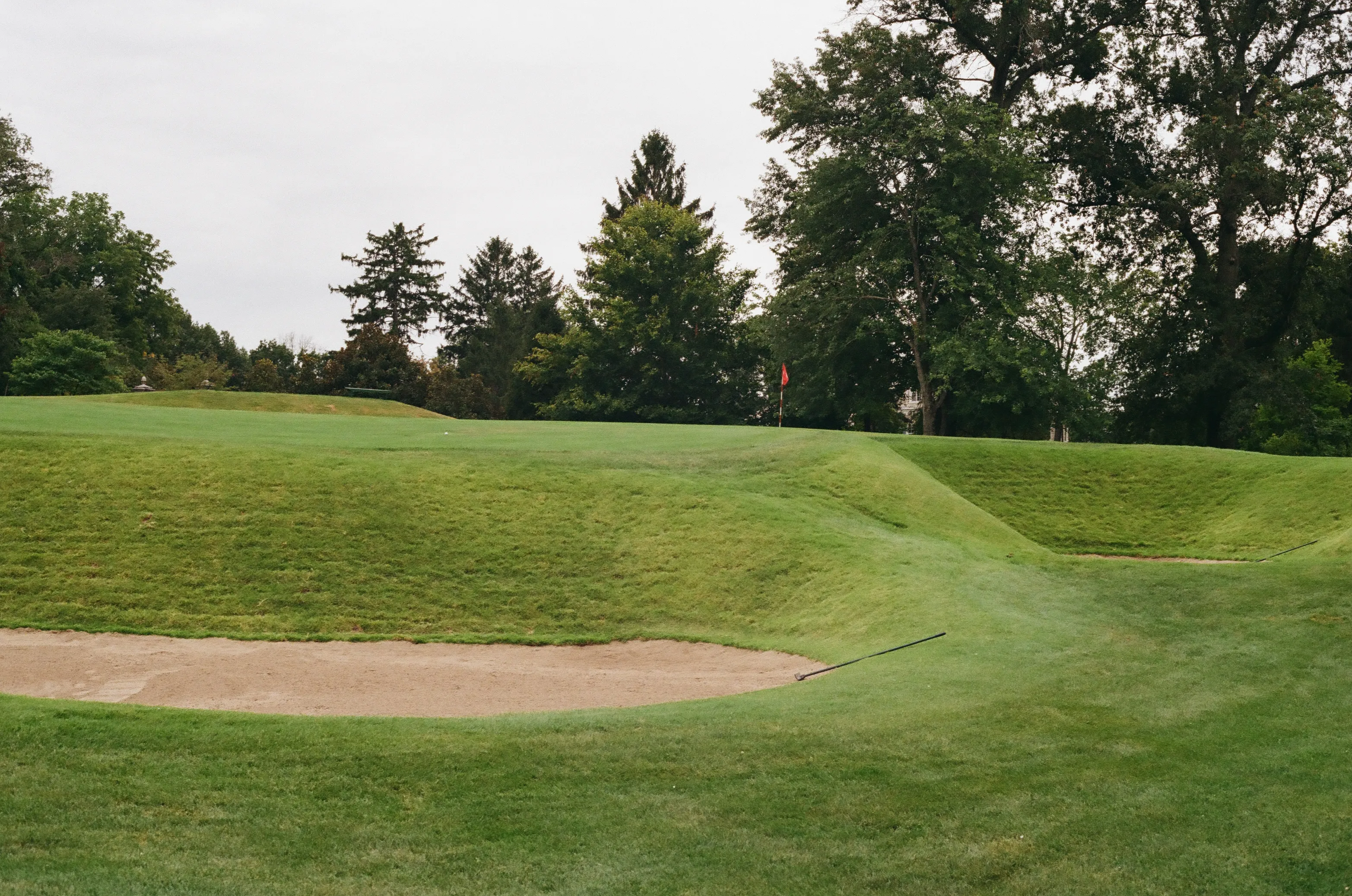 Film photograph 5 from Roll 6