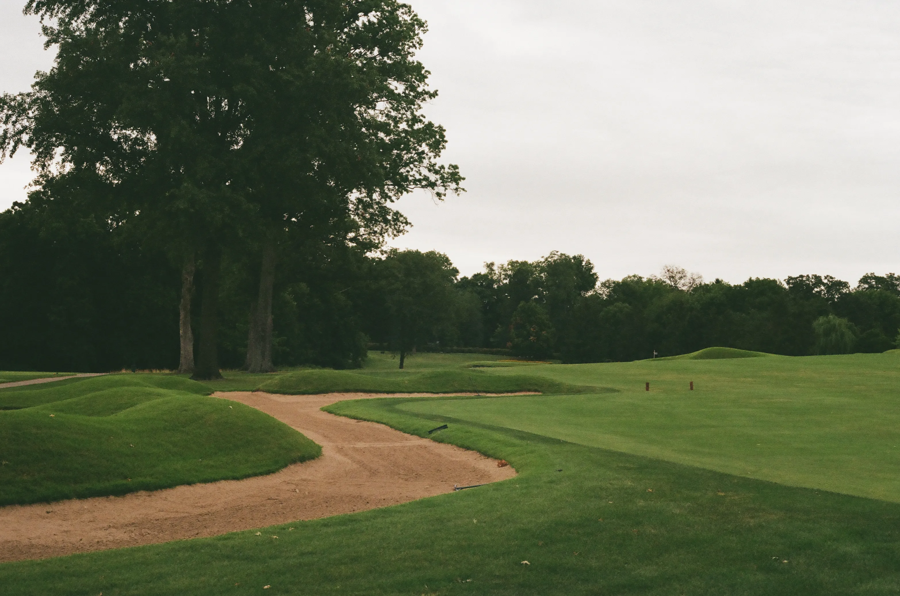 Film photograph 7 from Roll 6