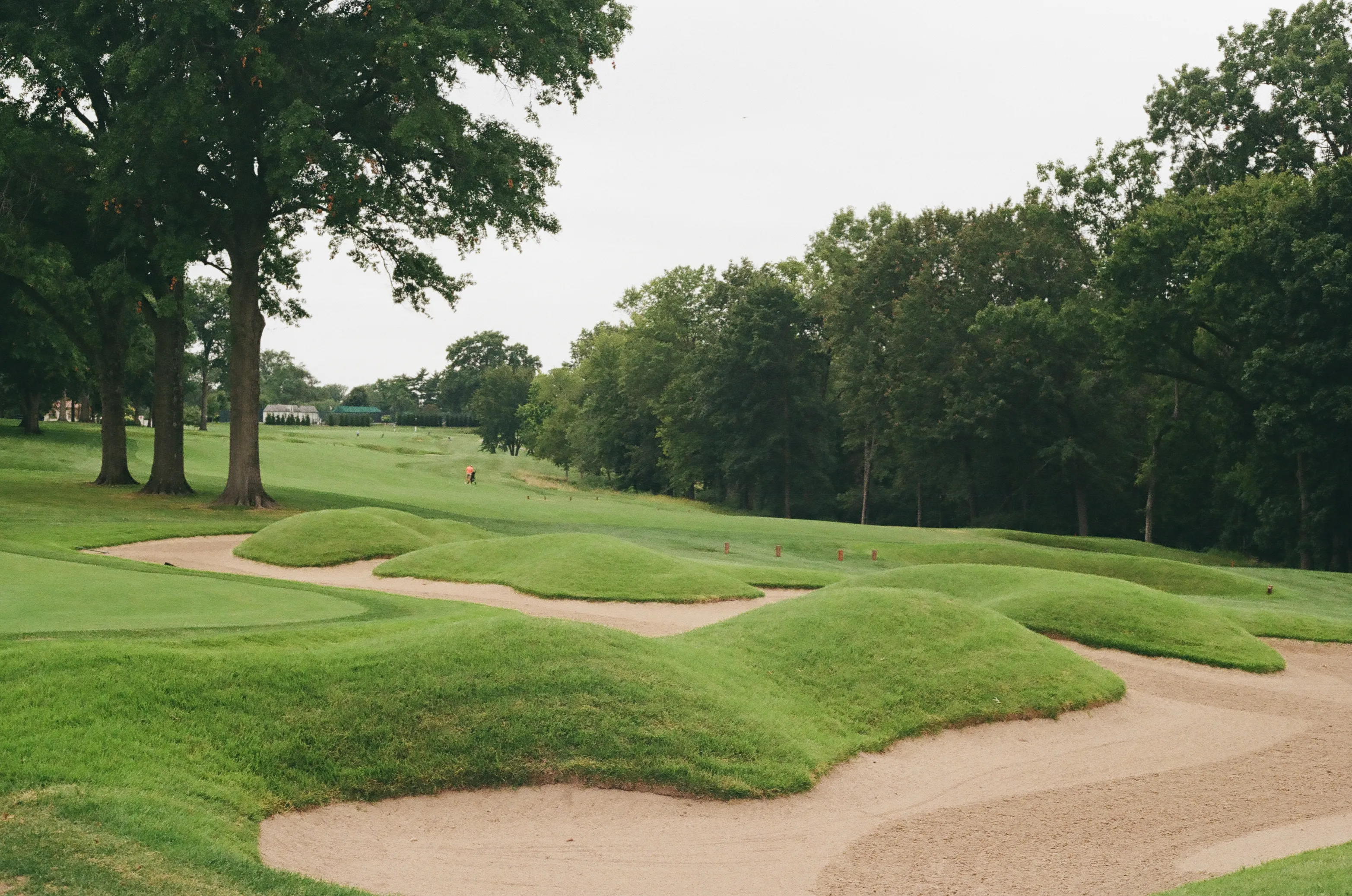 Film photograph 8 from Roll 6