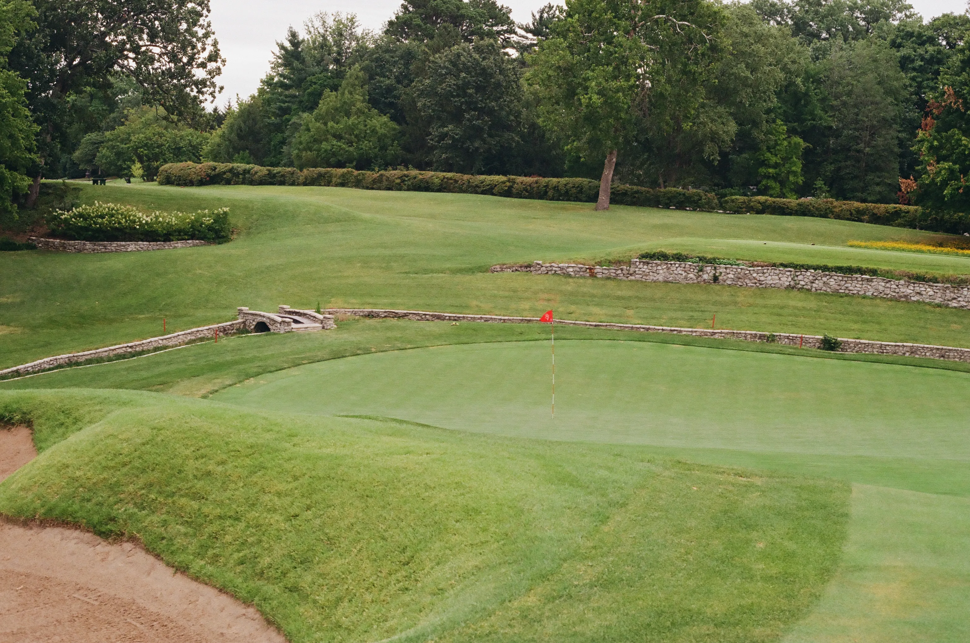 Film photograph 9 from Roll 6