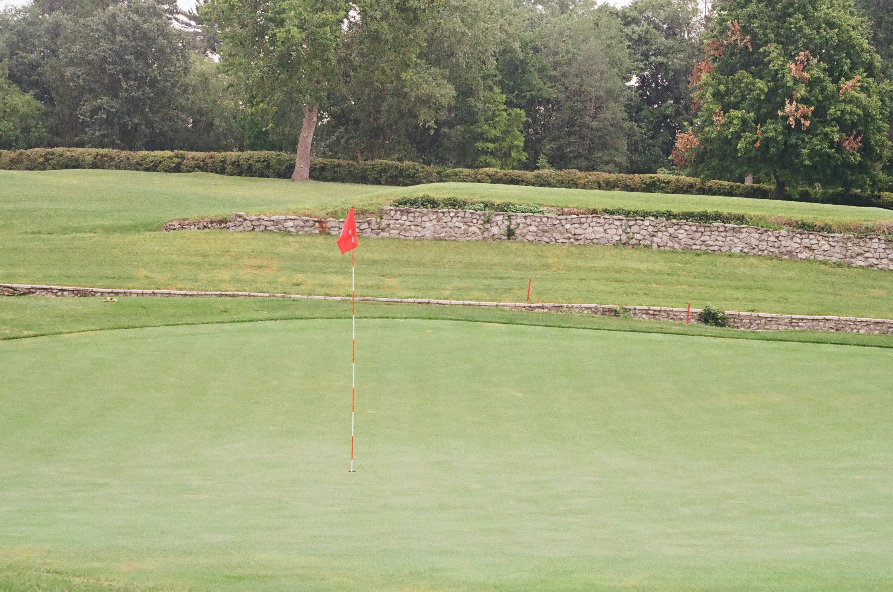 Film photograph 10 from Roll 6