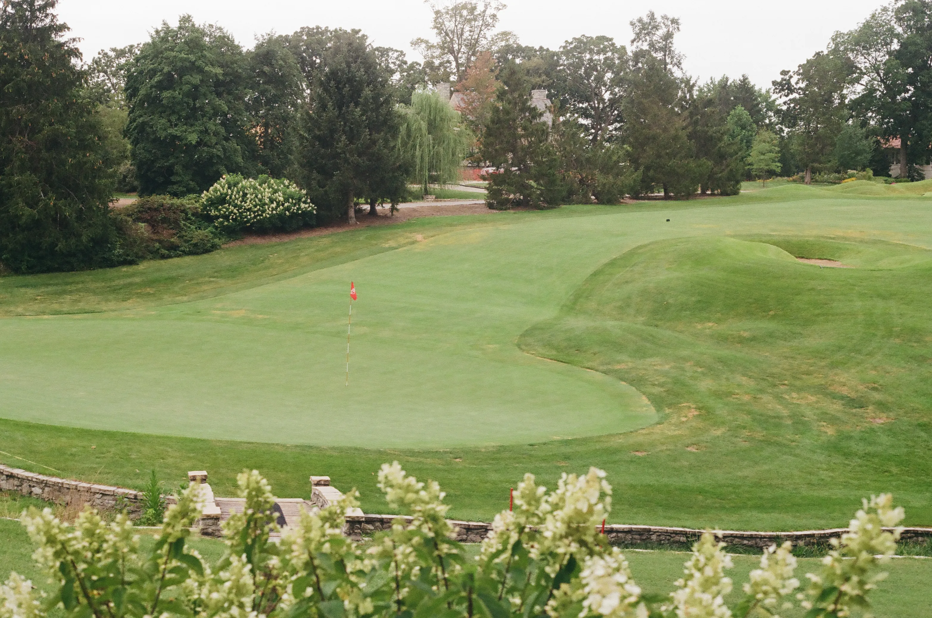 Film photograph 11 from Roll 6