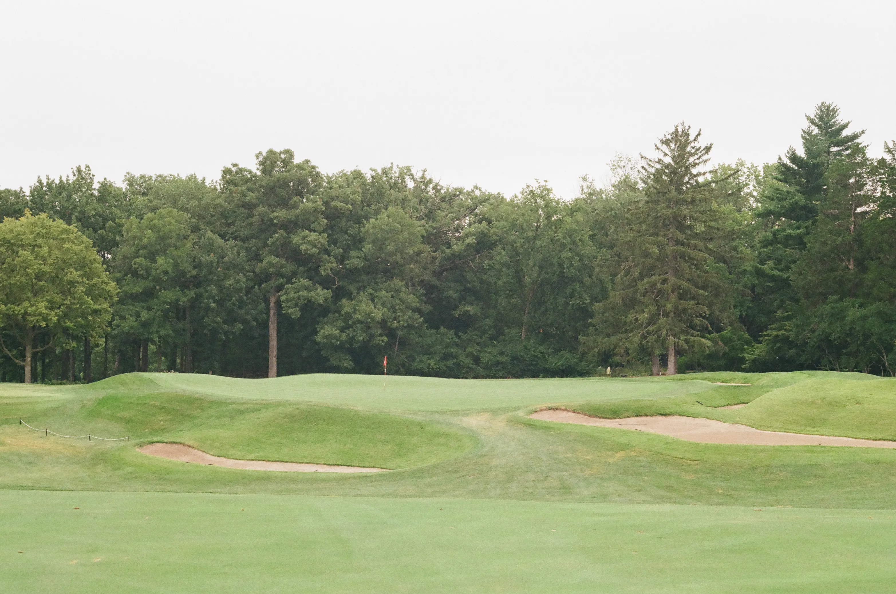 Film photograph 12 from Roll 6