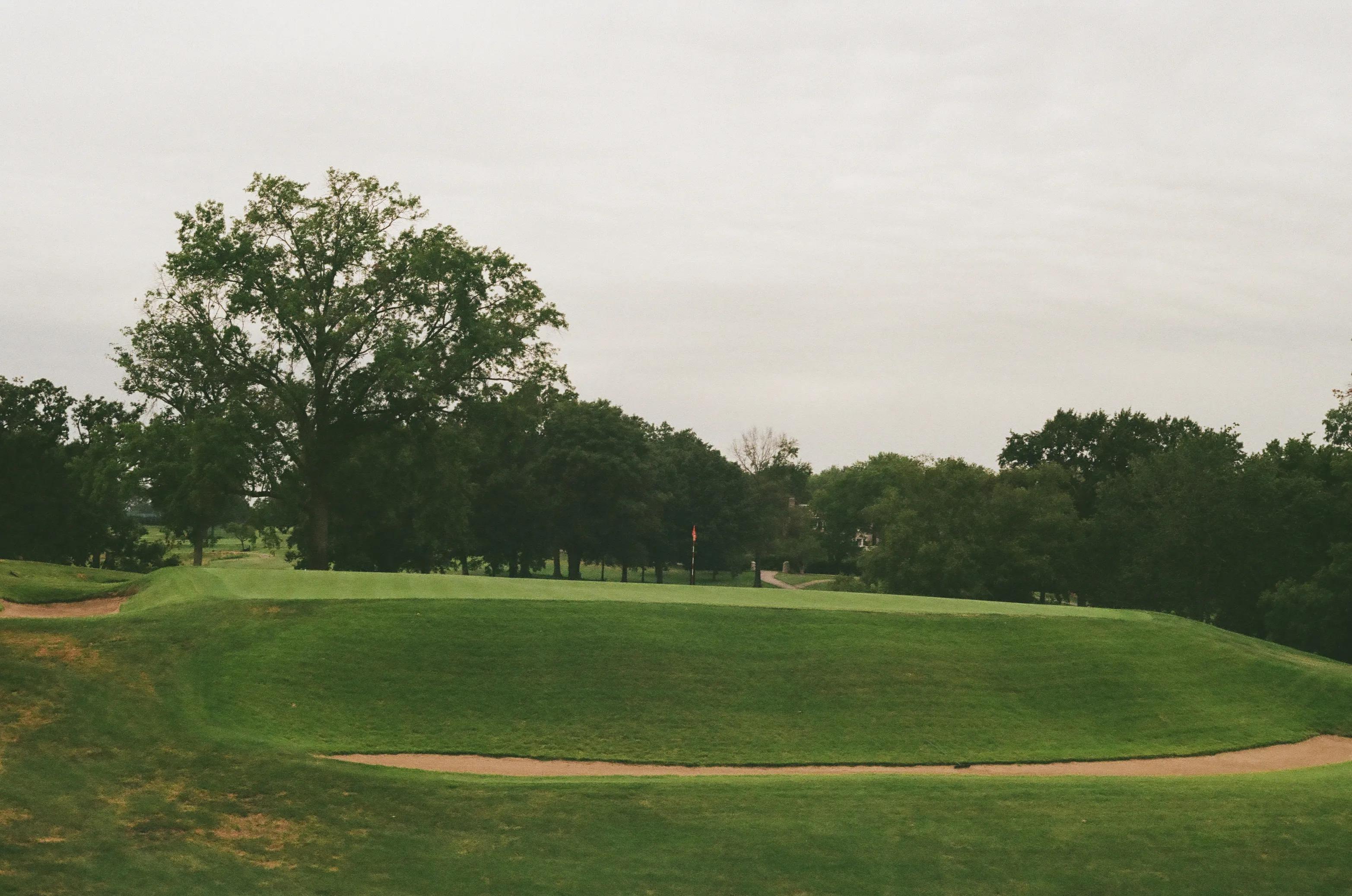 Film photograph 13 from Roll 6