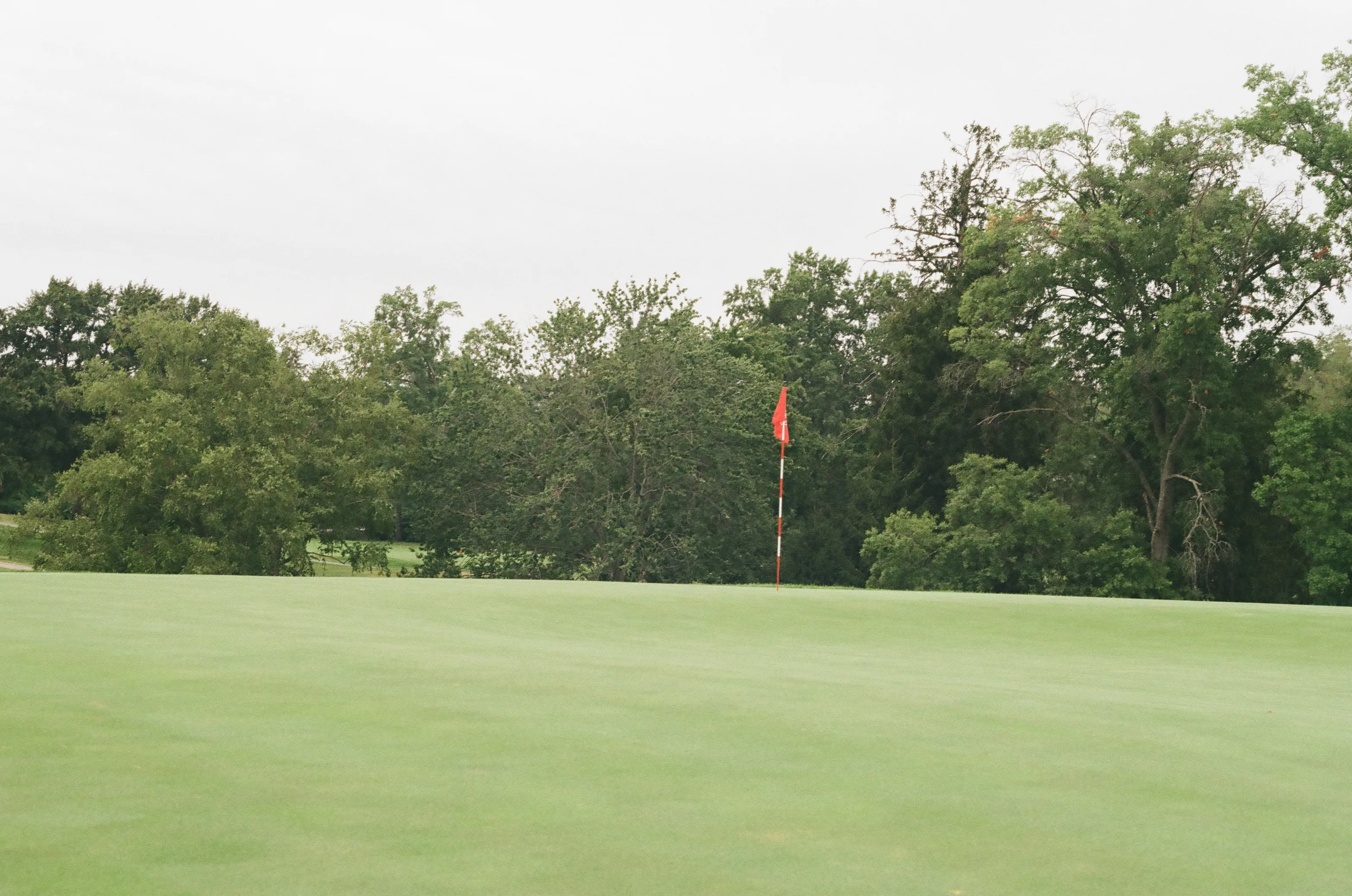 Film photograph 14 from Roll 6