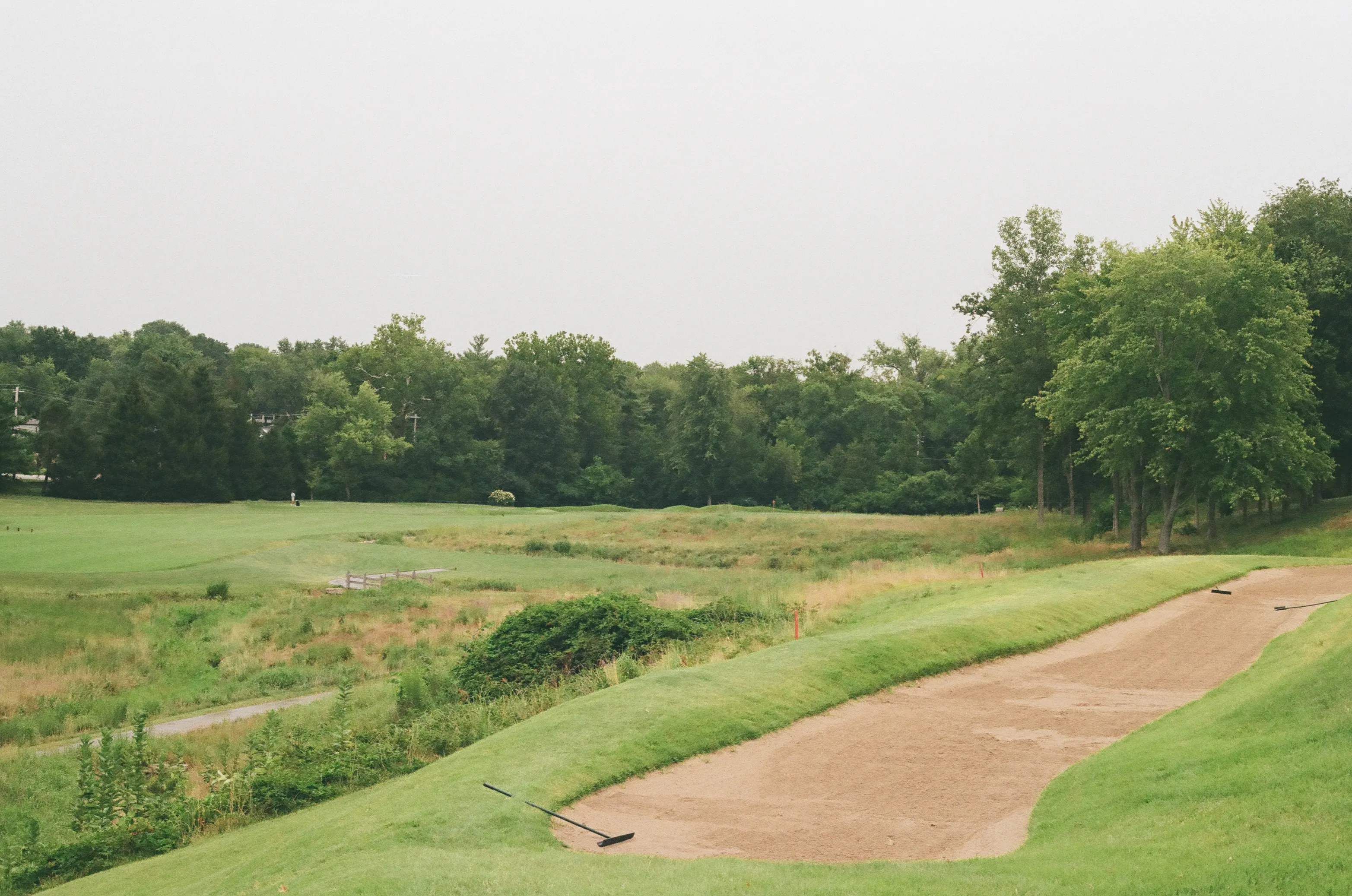 Film photograph 15 from Roll 6