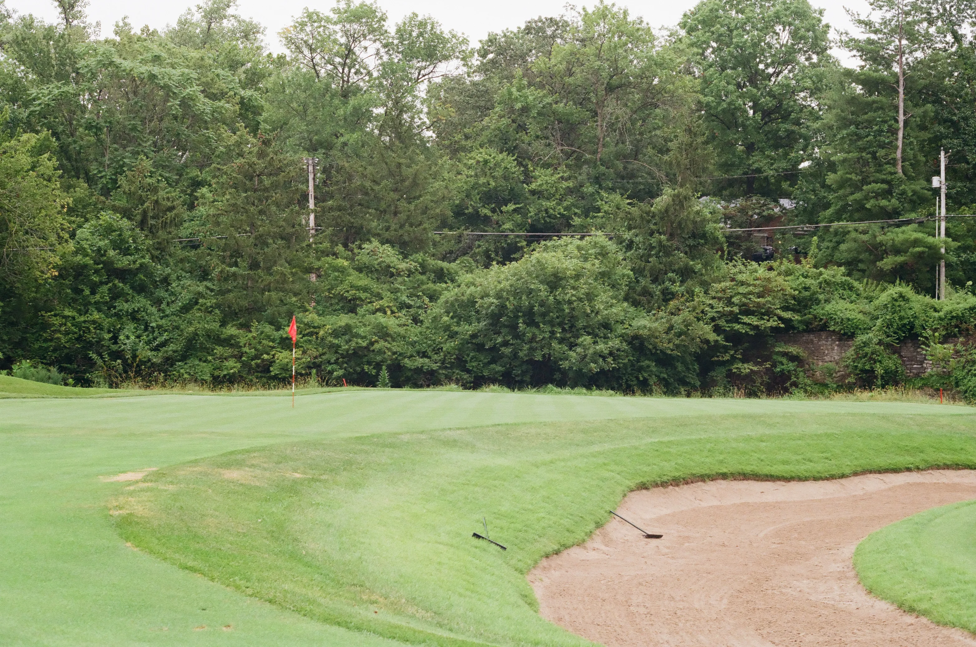 Film photograph 16 from Roll 6