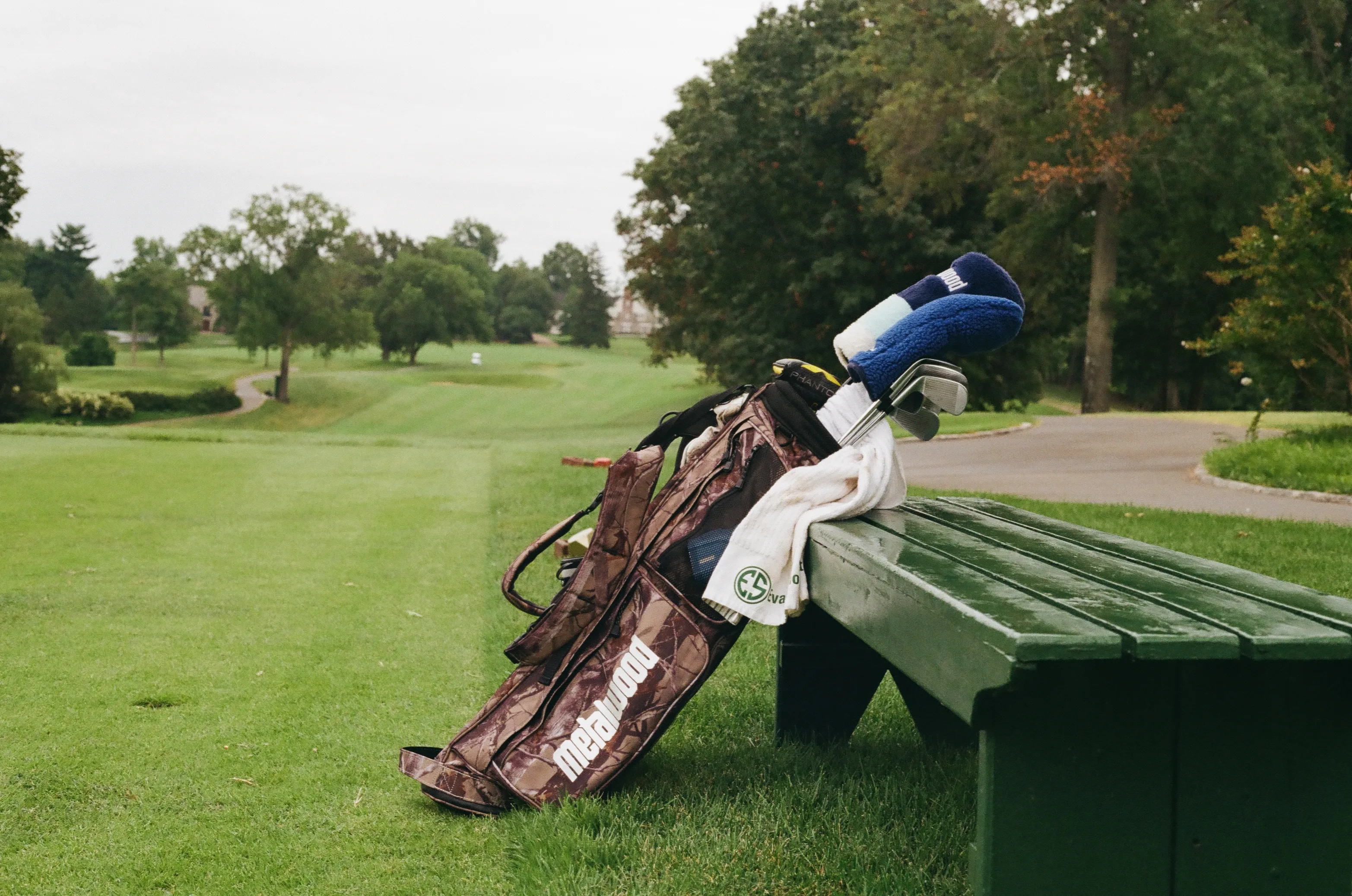 Film photograph 17 from Roll 6