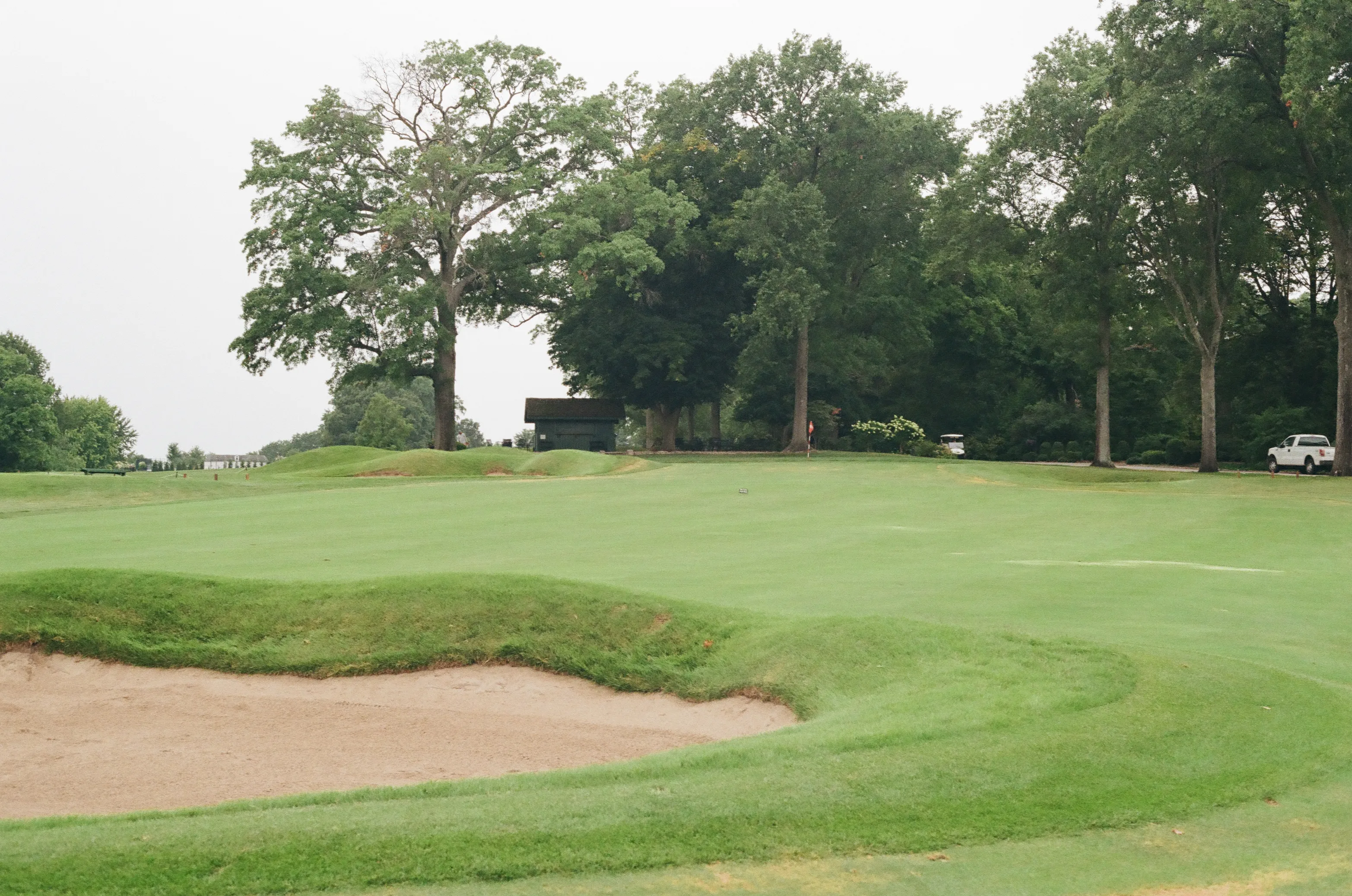 Film photograph 20 from Roll 6