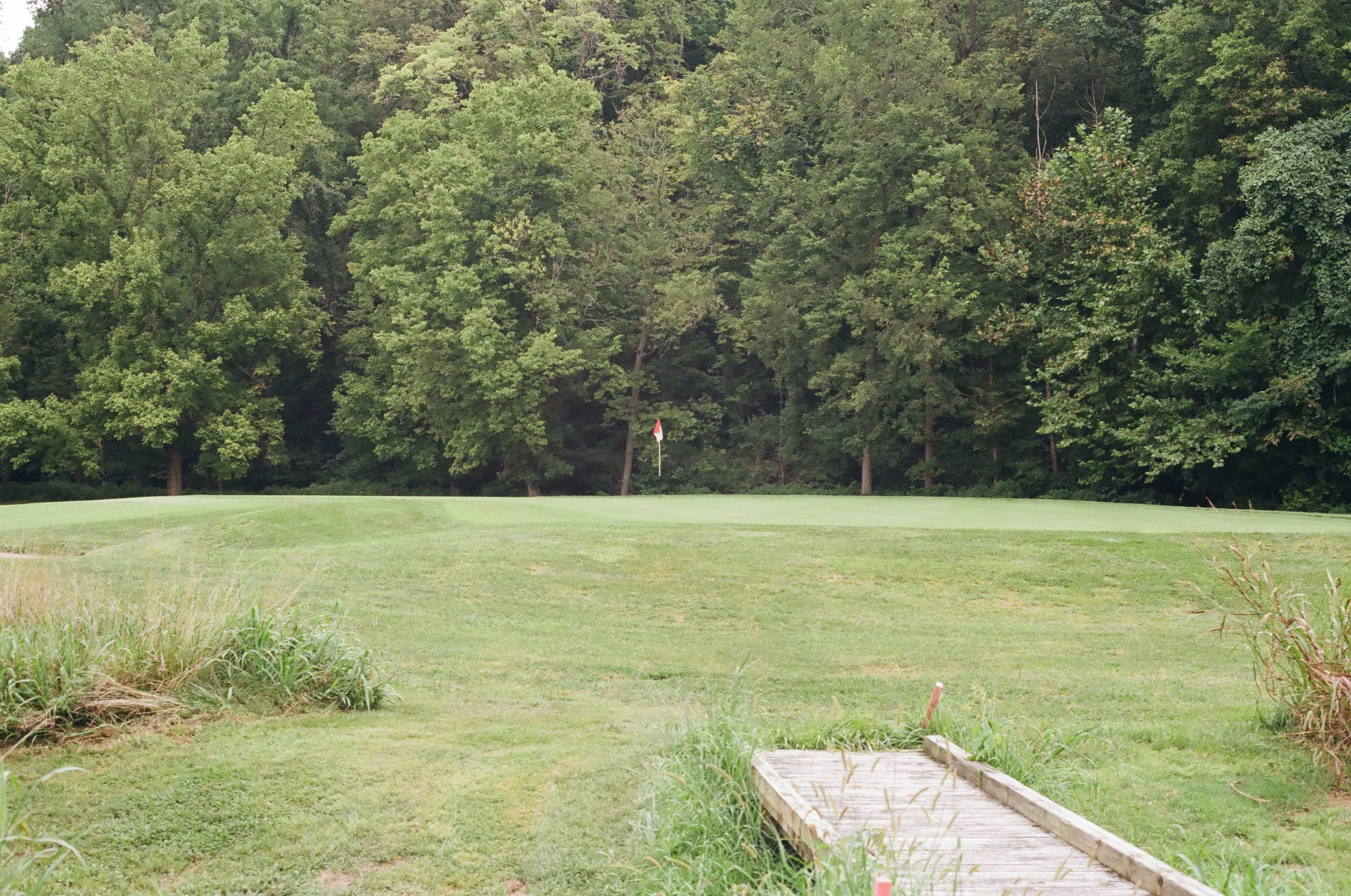 Film photograph 28 from Roll 6