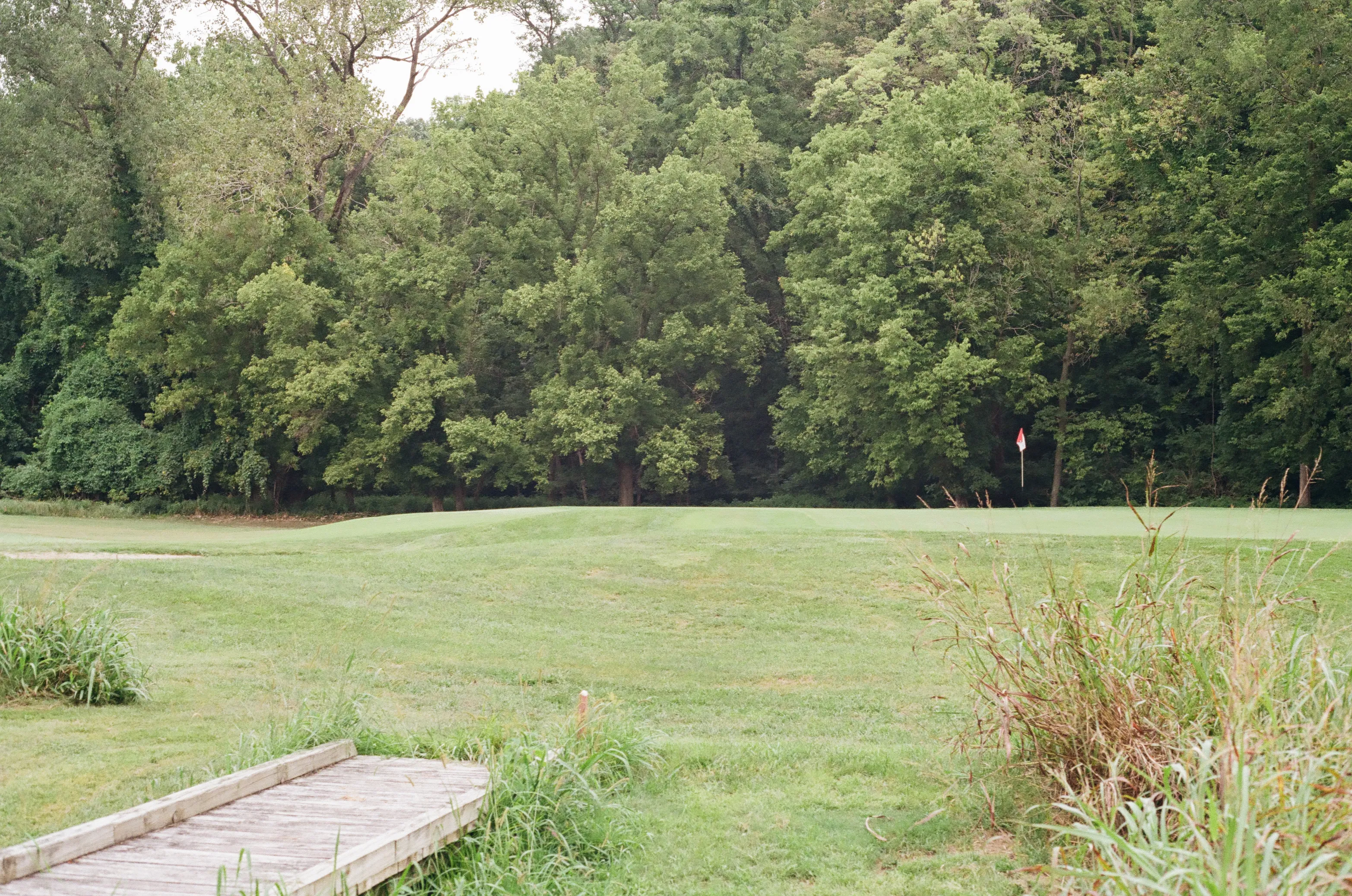 Film photograph 29 from Roll 6