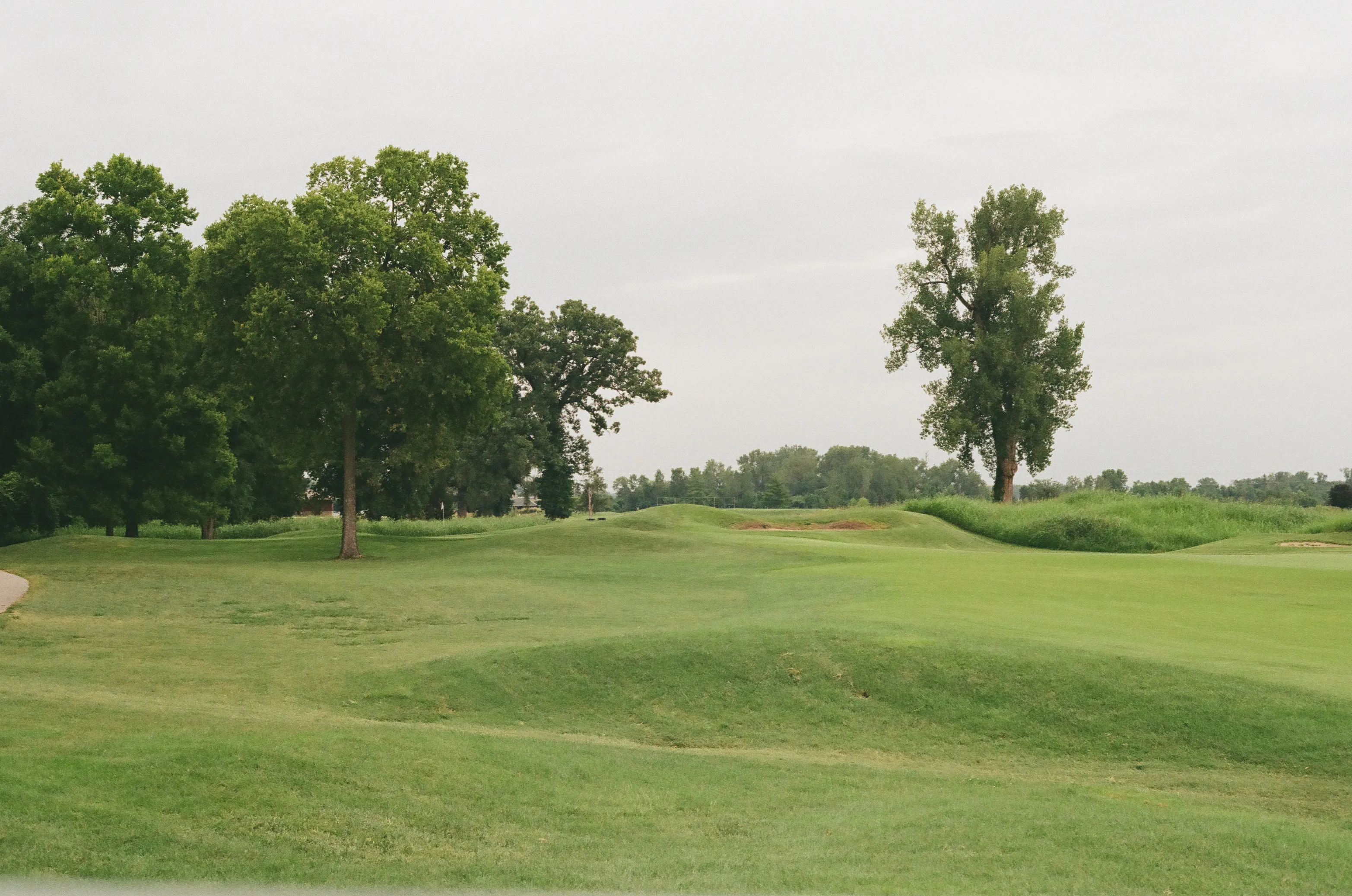 Film photograph 30 from Roll 6