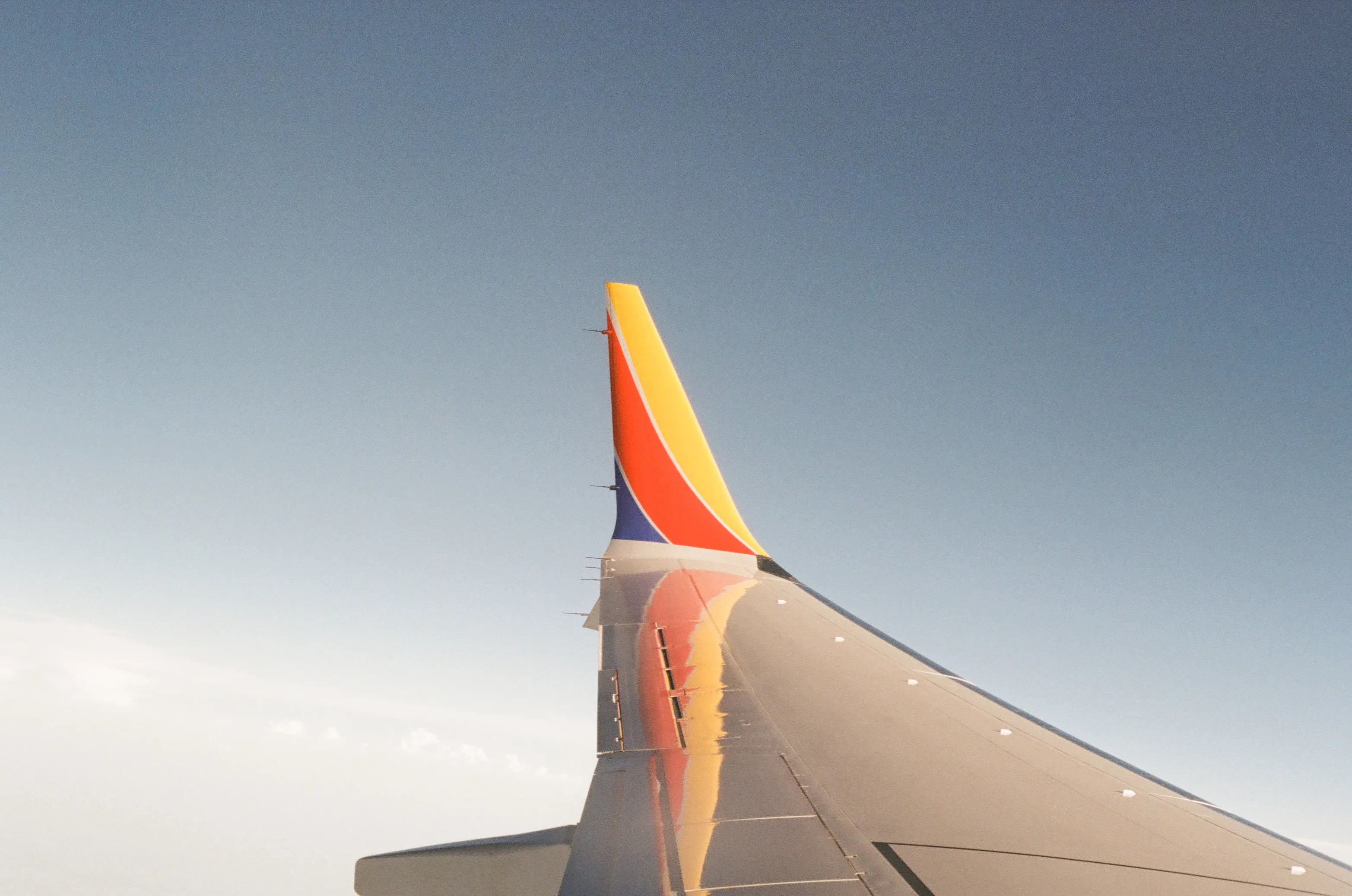 Film photograph 31 from Roll 6