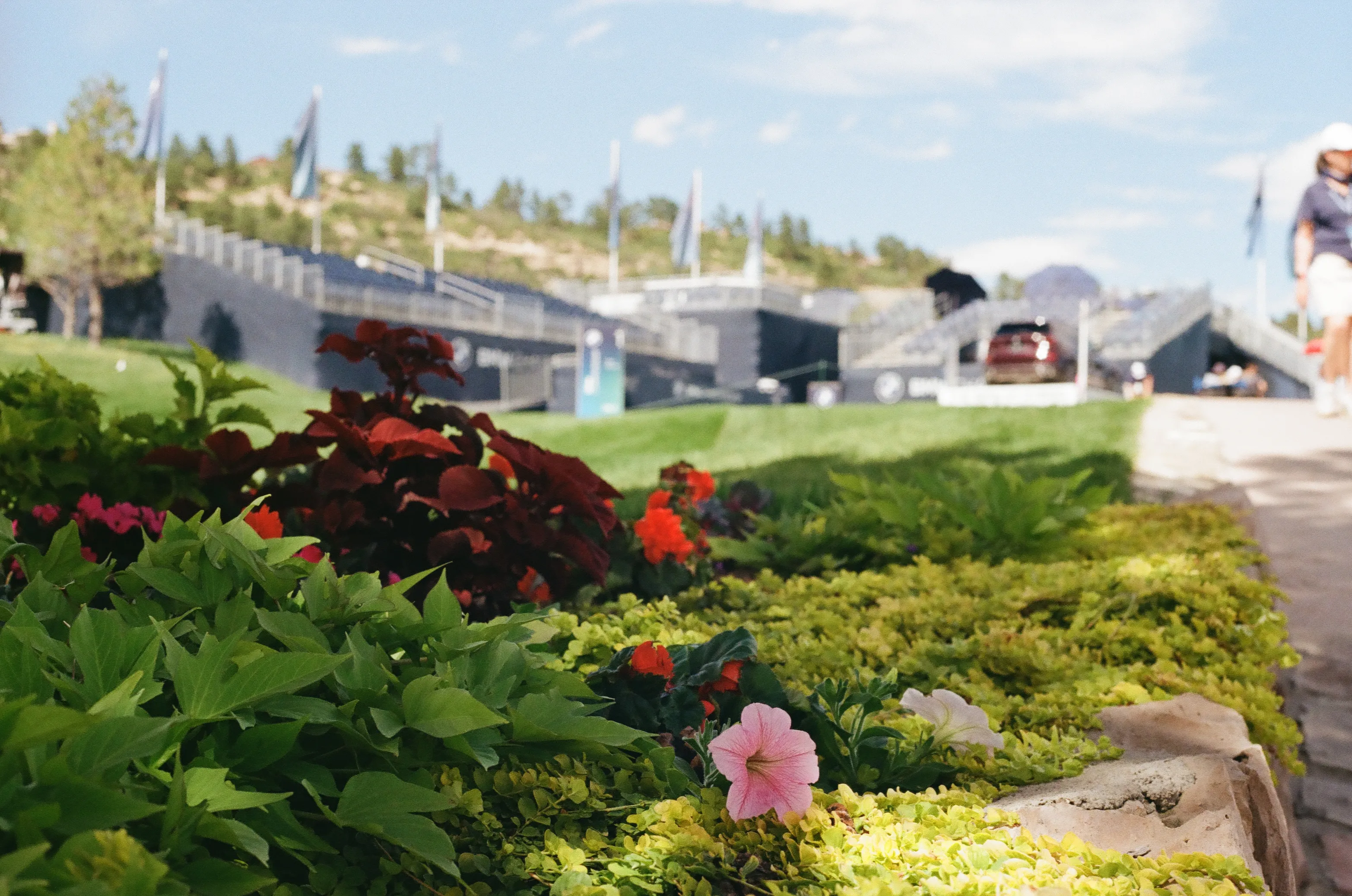 Film photograph 36 from Roll 6