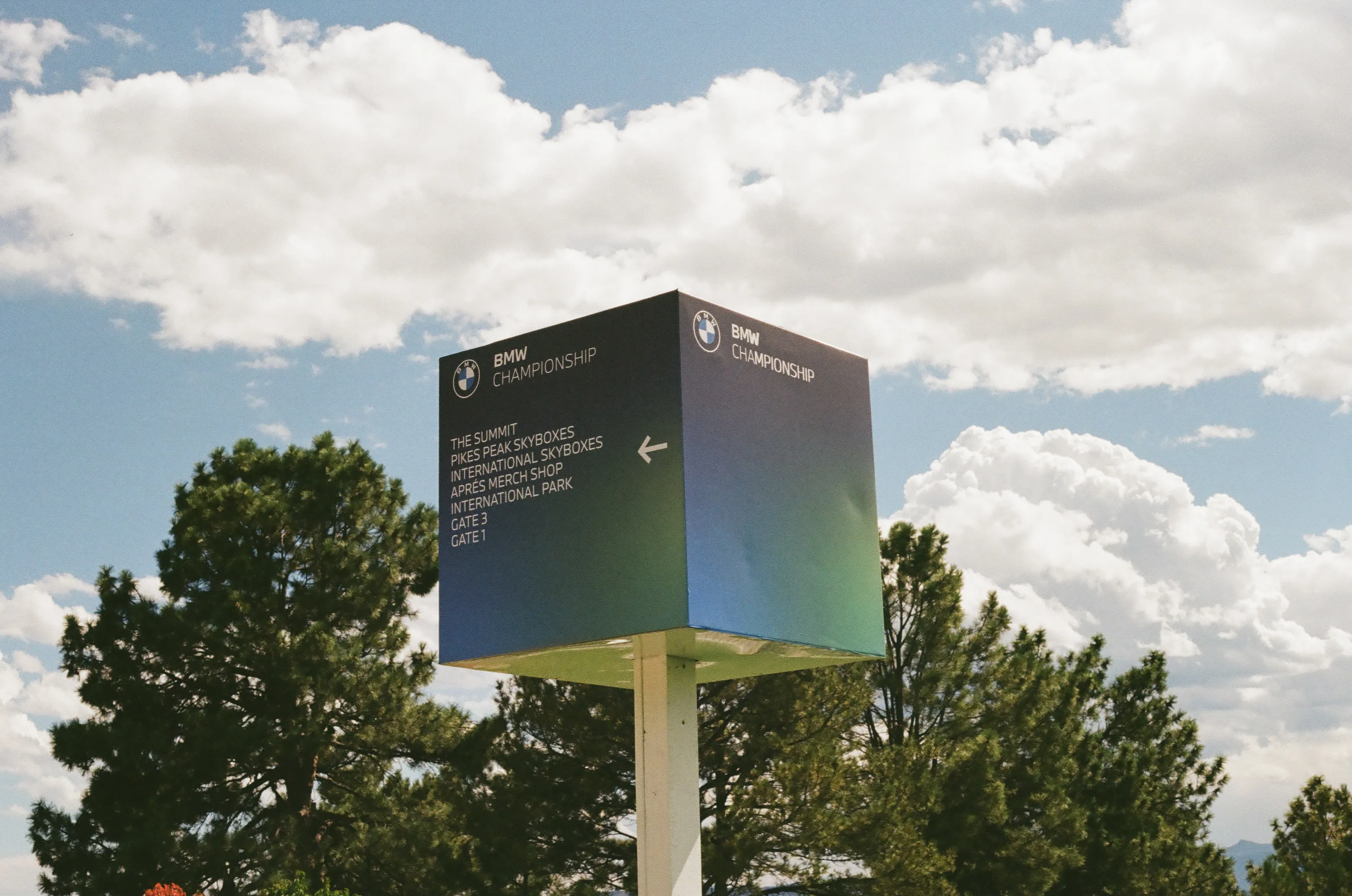 Film photograph 37 from Roll 6