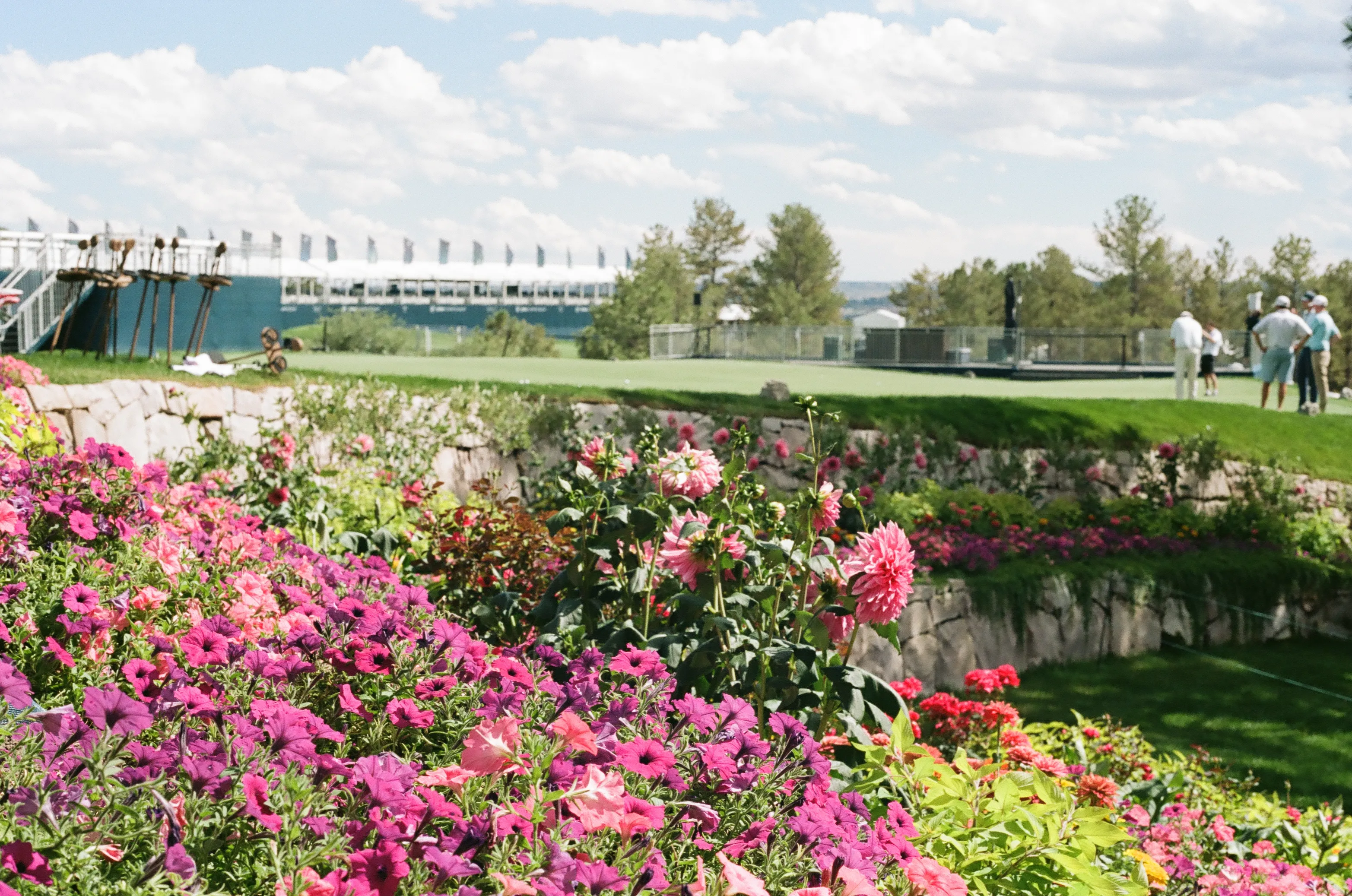 Film photograph 1 from Roll 7