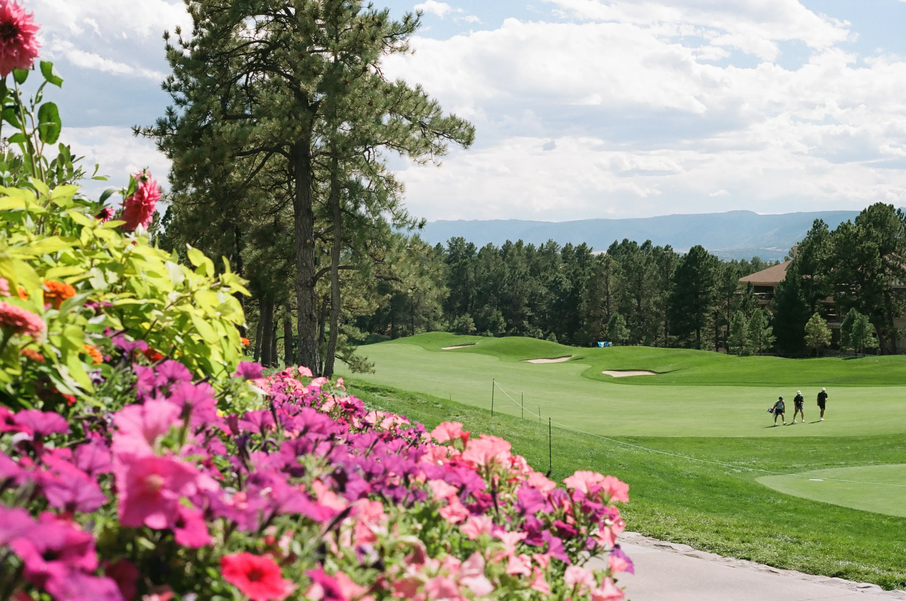 Film photograph 2 from Roll 7