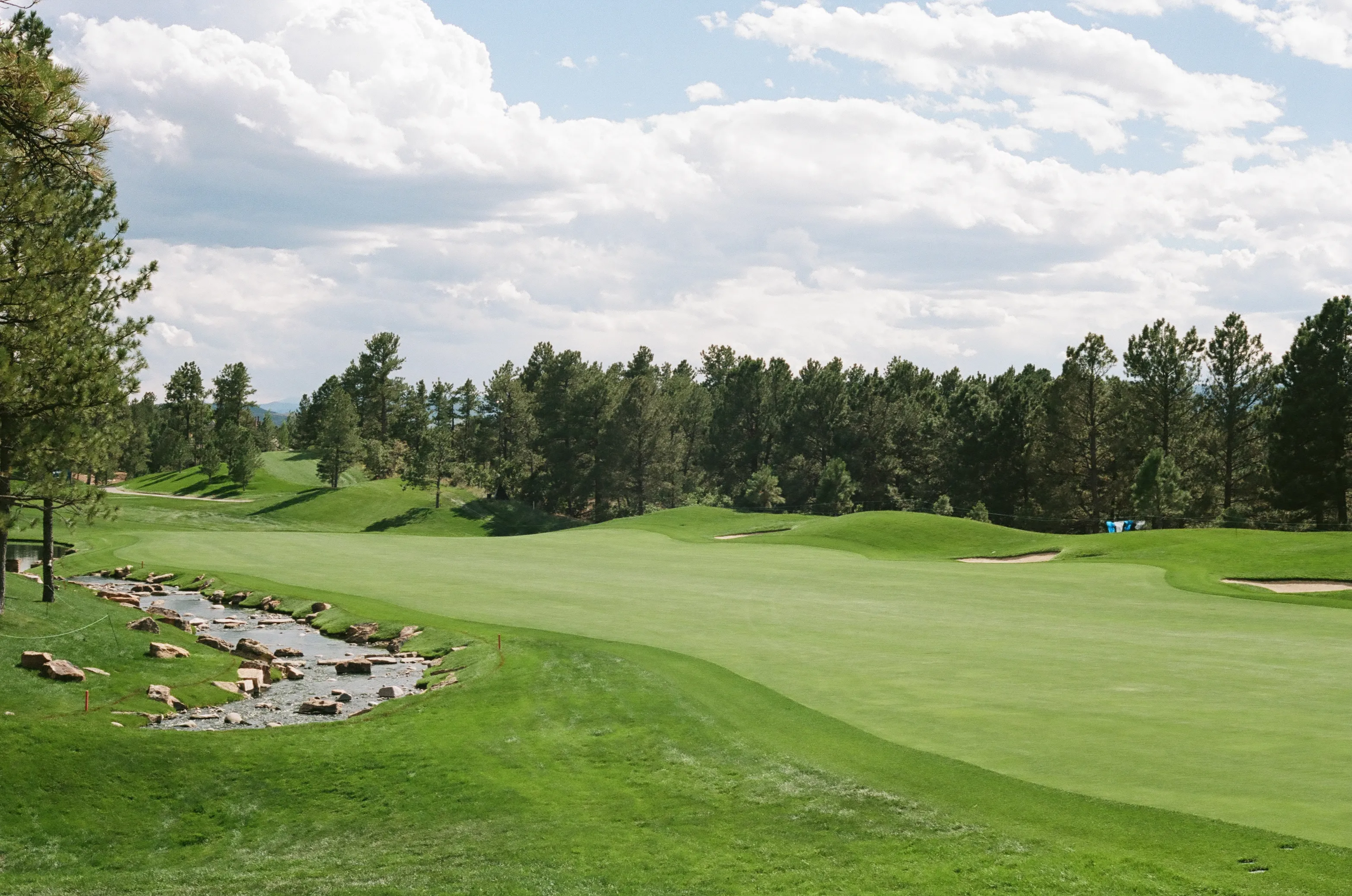 Film photograph 3 from Roll 7