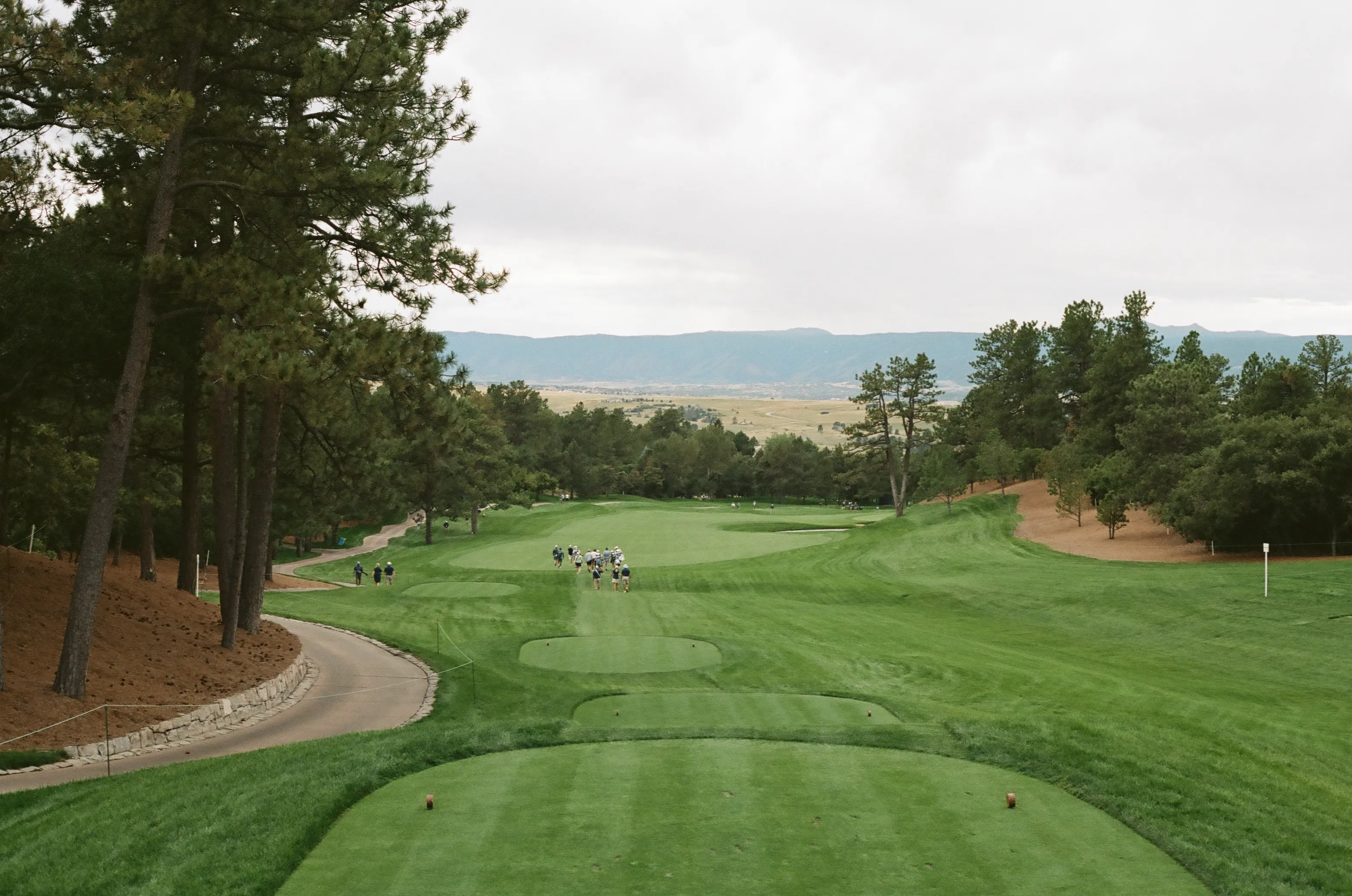 Film photograph 16 from Roll 7